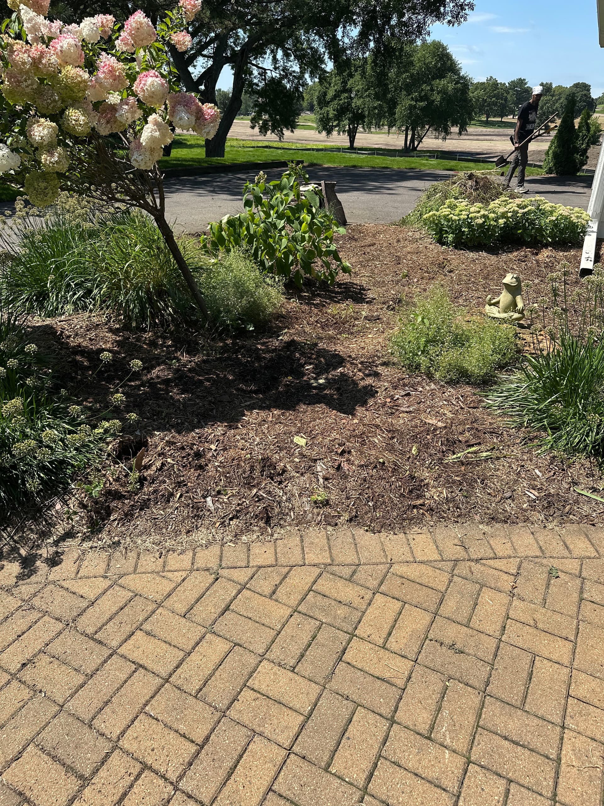 Gallery photos for Front and Back Garden Beds Cleaned Up and Mulched: Image #1