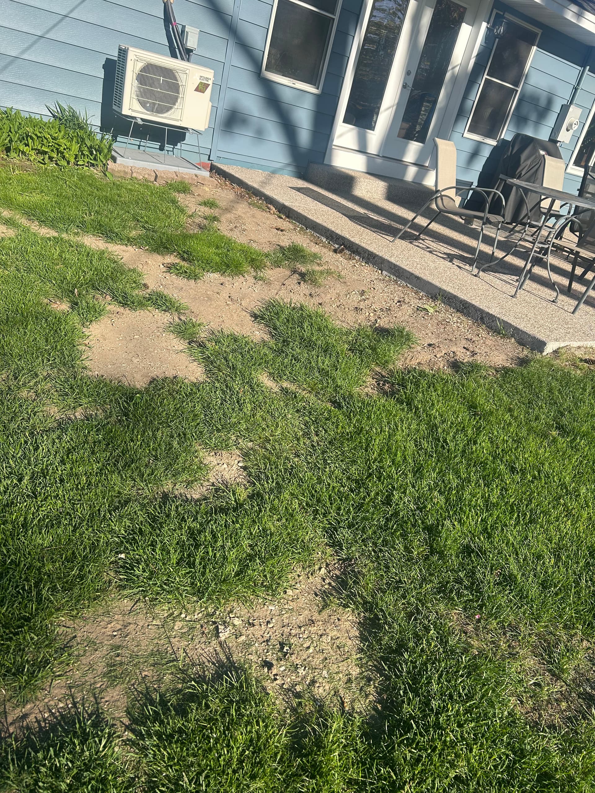 Gallery photos for Dead Patches Are Gone - Fresh Sod Takes Over: Image #6