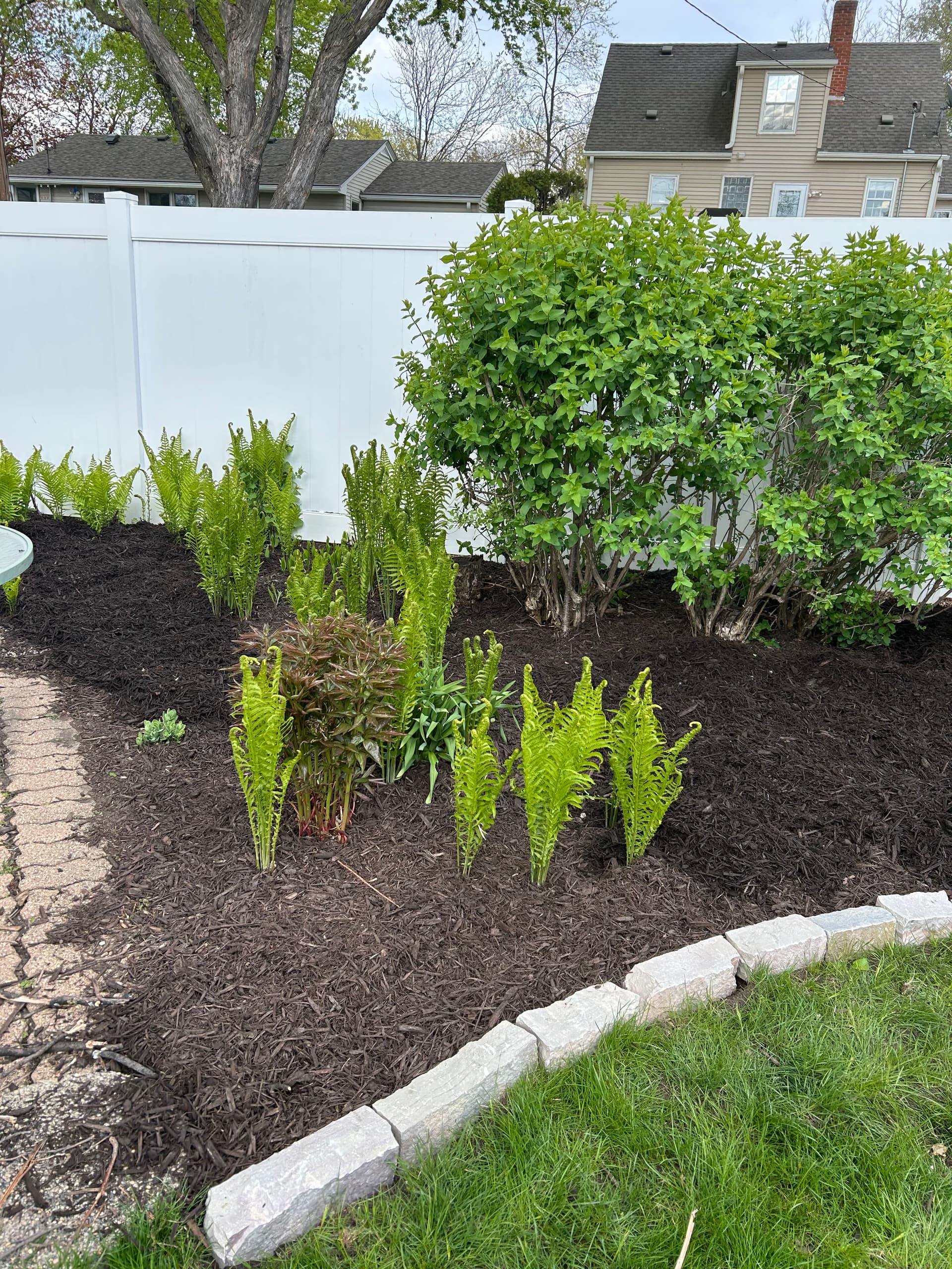 Gallery photos for Fresh Mulch, Clean Stone Edging, and Zero Weeds in Sight: Image #4