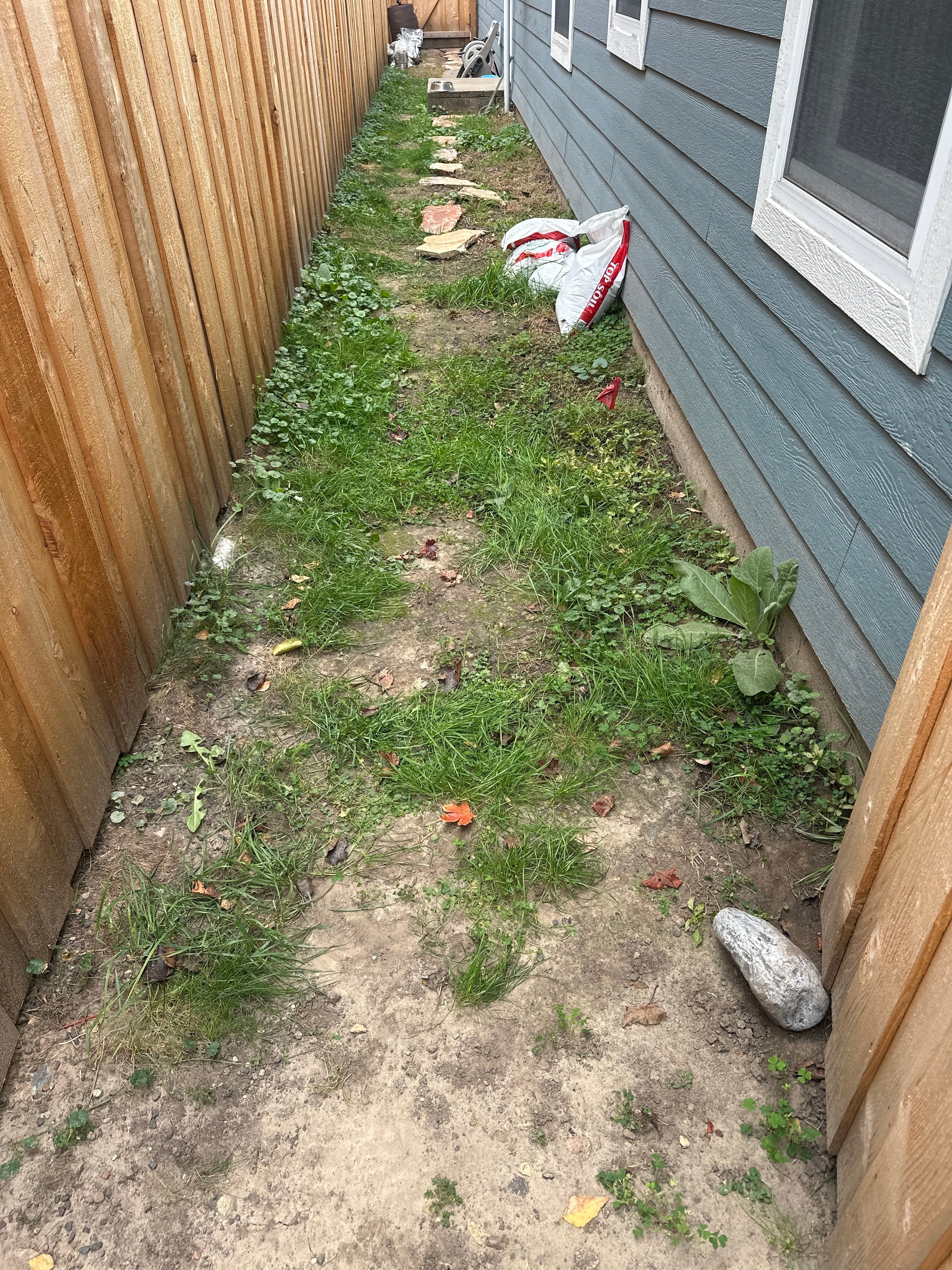 Project Transforming a Weedy Side Yard into a Beautiful Stone Pathway image