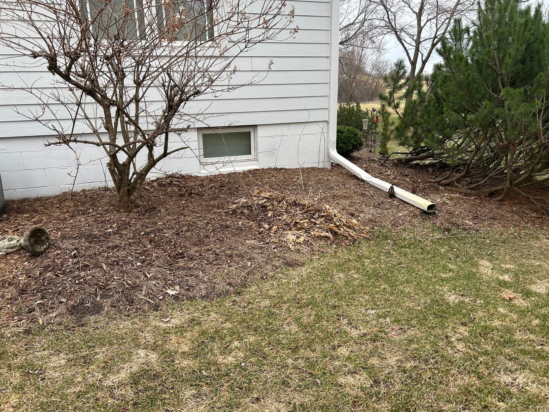 Gallery photos for Spring Garden Cleanup and Fresh Mulch Installation: Image #4
