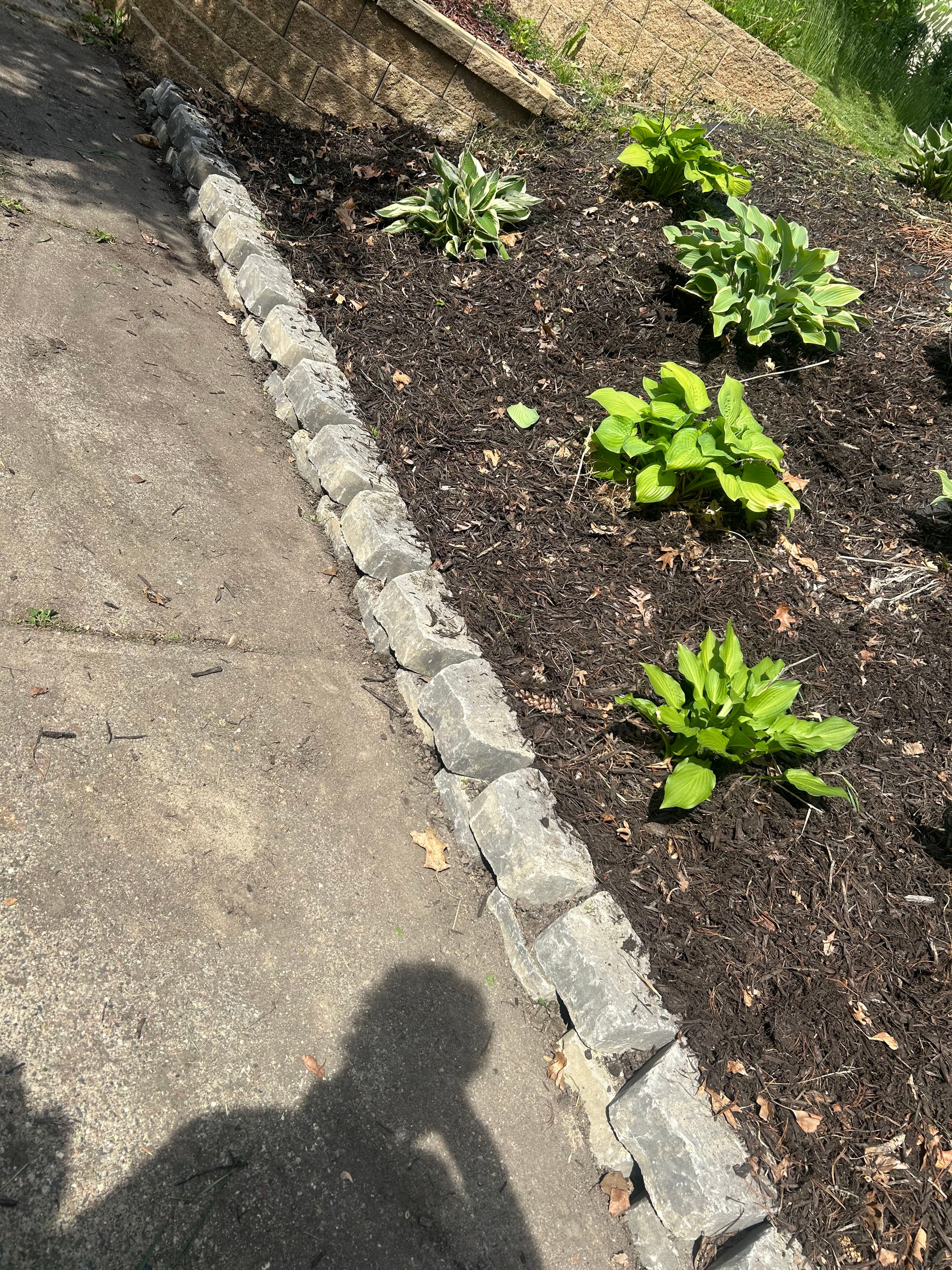 Project Two-Brick Border and Fresh Mulch Give This Bed a Clean Edge image