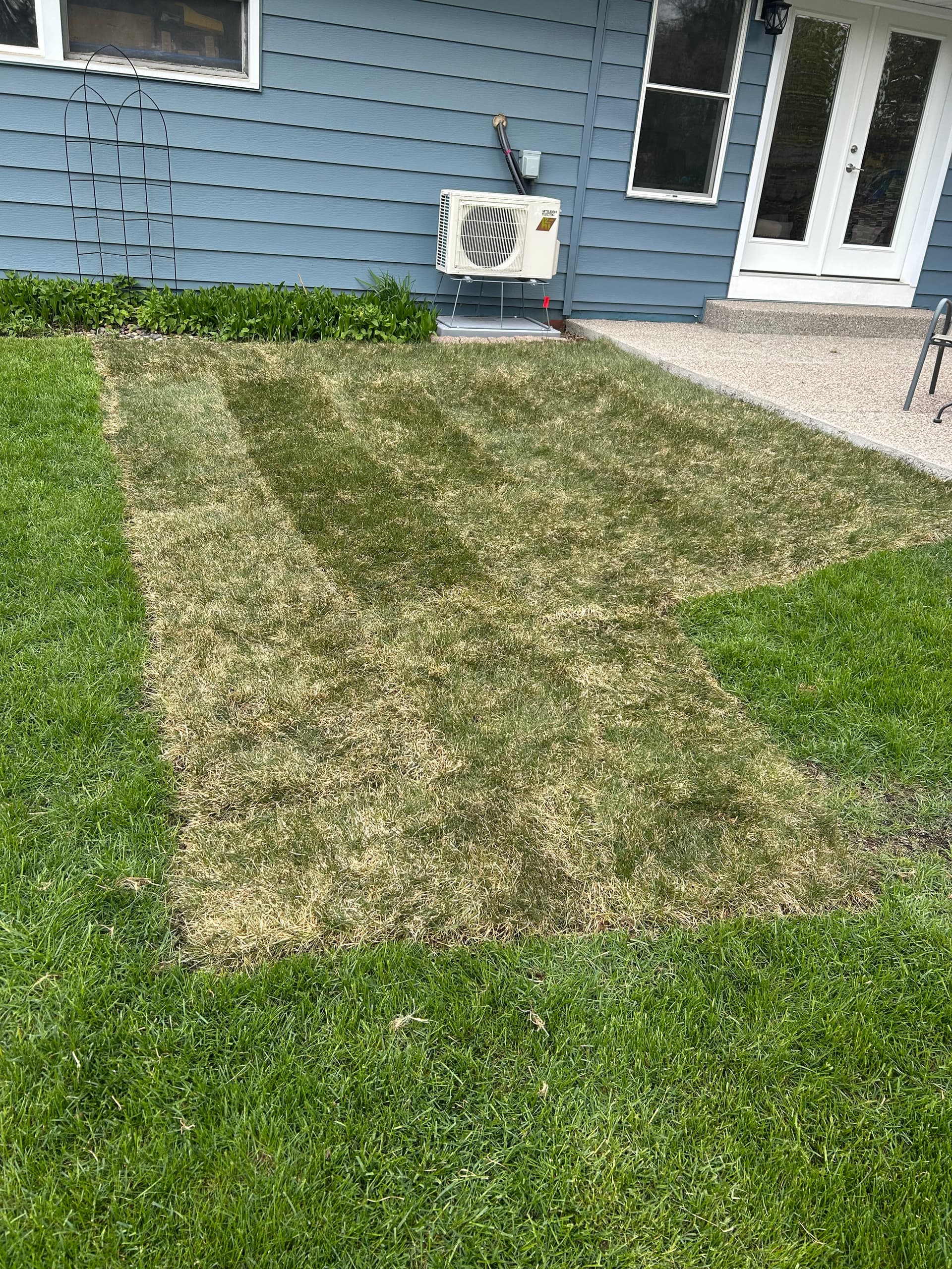 Dead Patches Are Gone - Fresh Sod Takes Over image