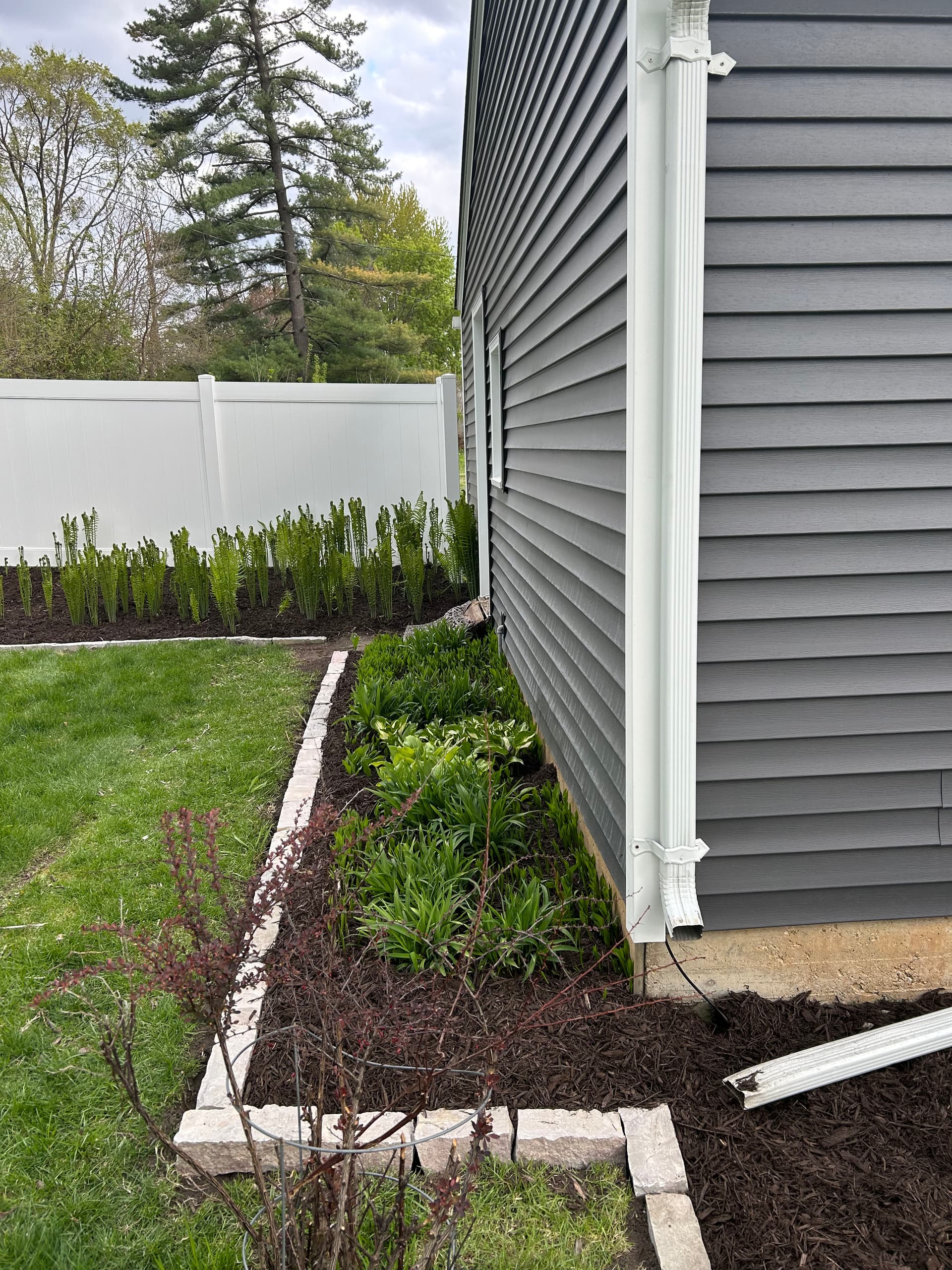 Gallery photos for Fresh Mulch, Clean Stone Edging, and Zero Weeds in Sight: Image #8