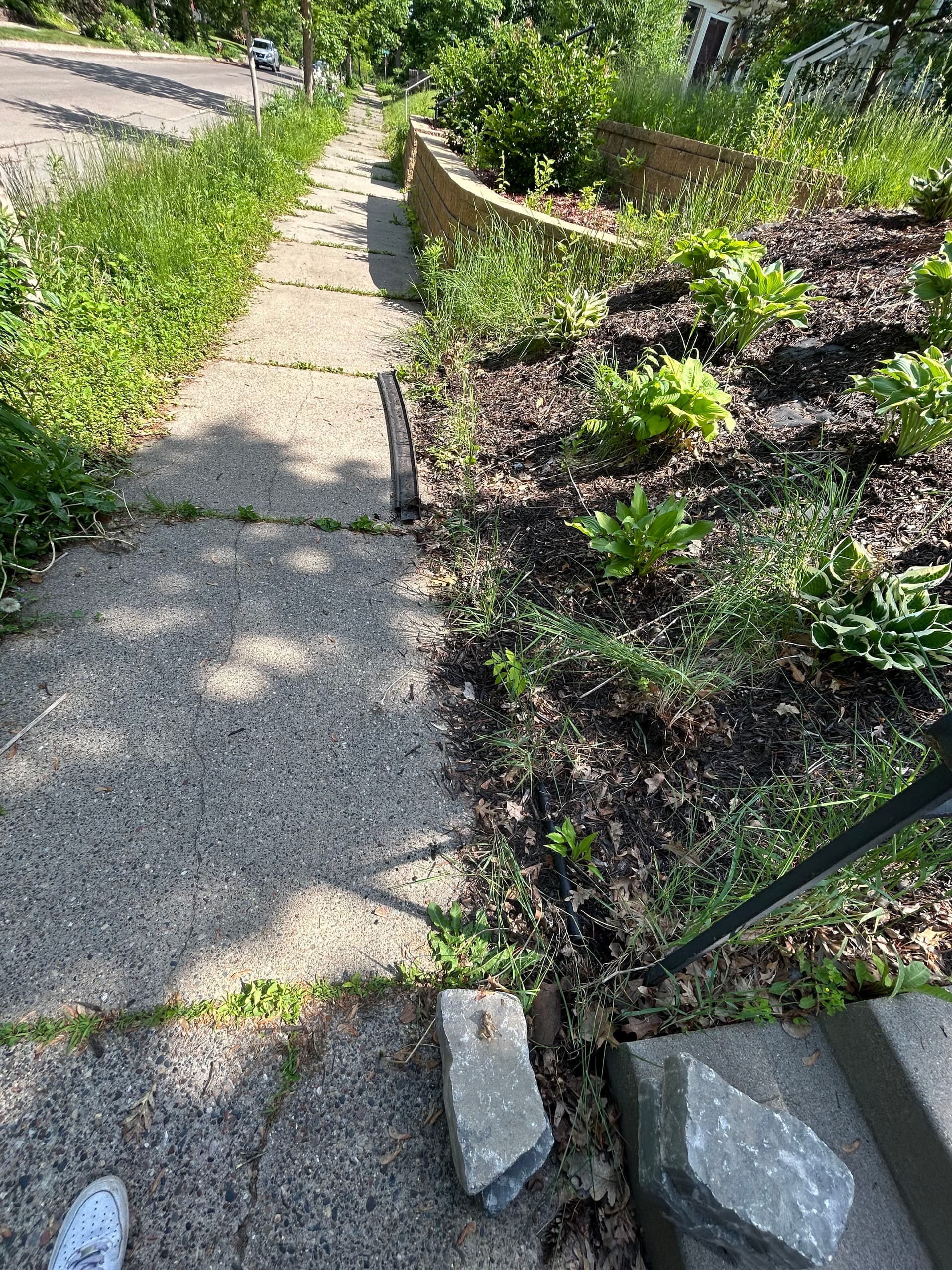 Gallery photos for Two-Brick Border and Fresh Mulch Give This Bed a Clean Edge: Image #2