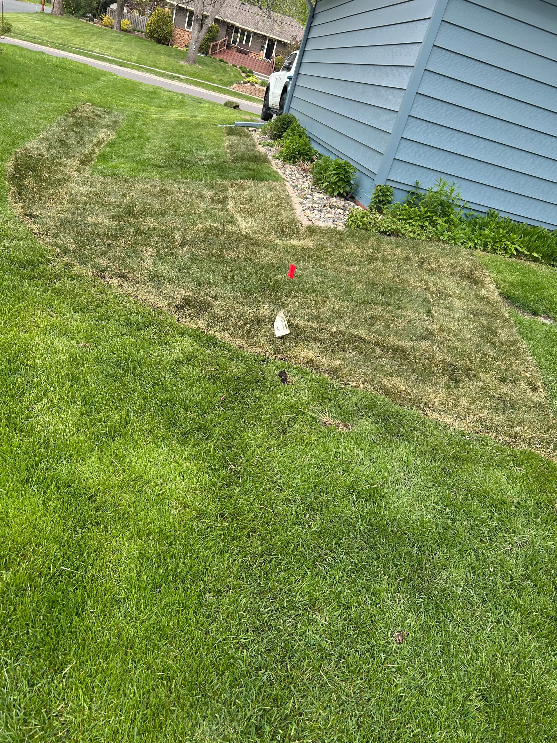 Gallery photos for Dead Patches Are Gone - Fresh Sod Takes Over: Image #1