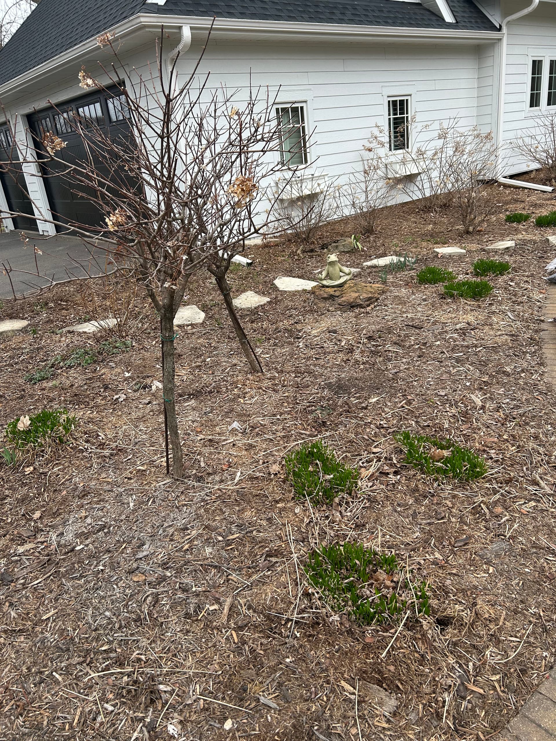 Spring Garden Cleanup and Fresh Mulch Installation image