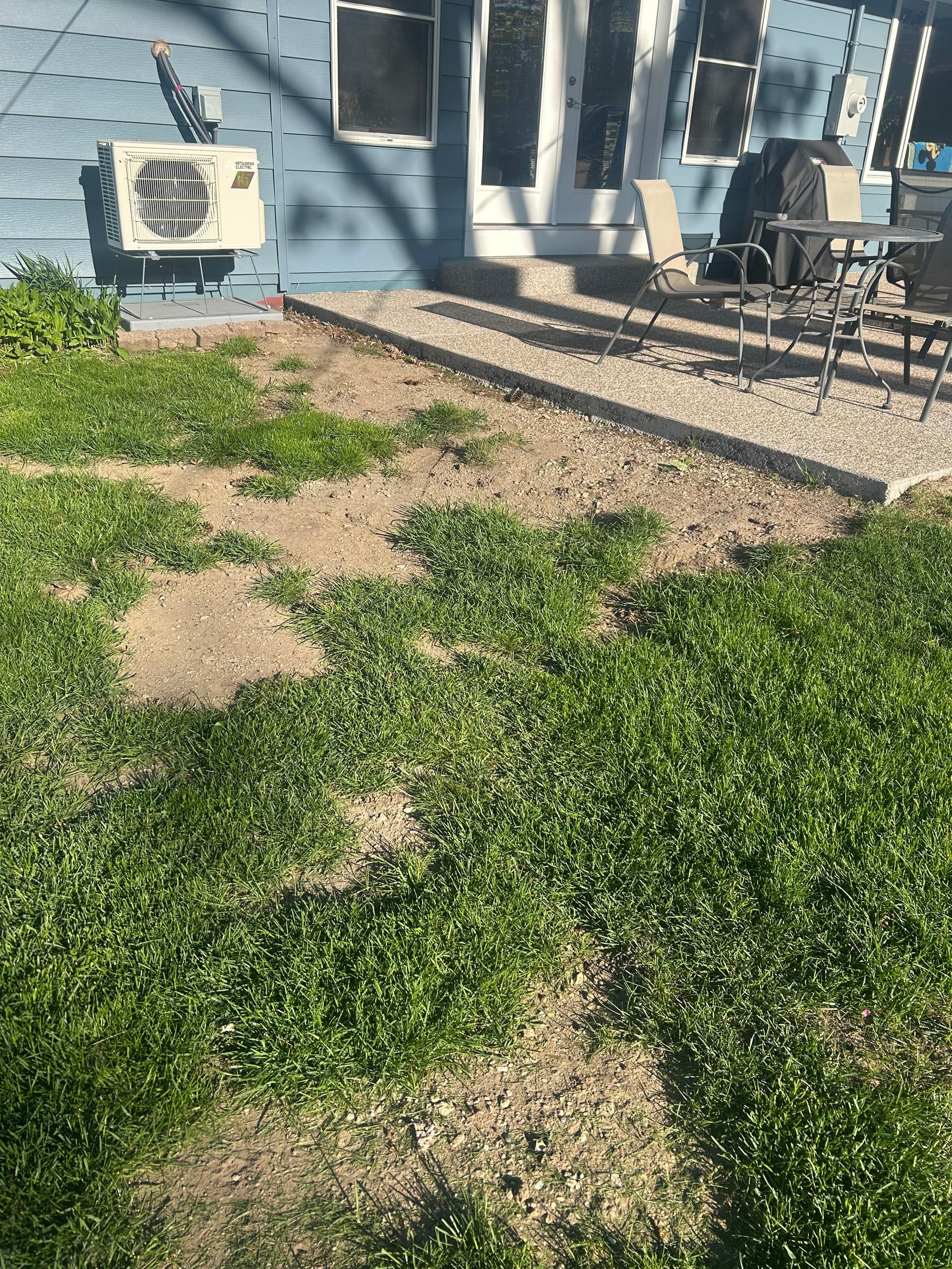 Gallery photos for Dead Patches Are Gone - Fresh Sod Takes Over: Image #8