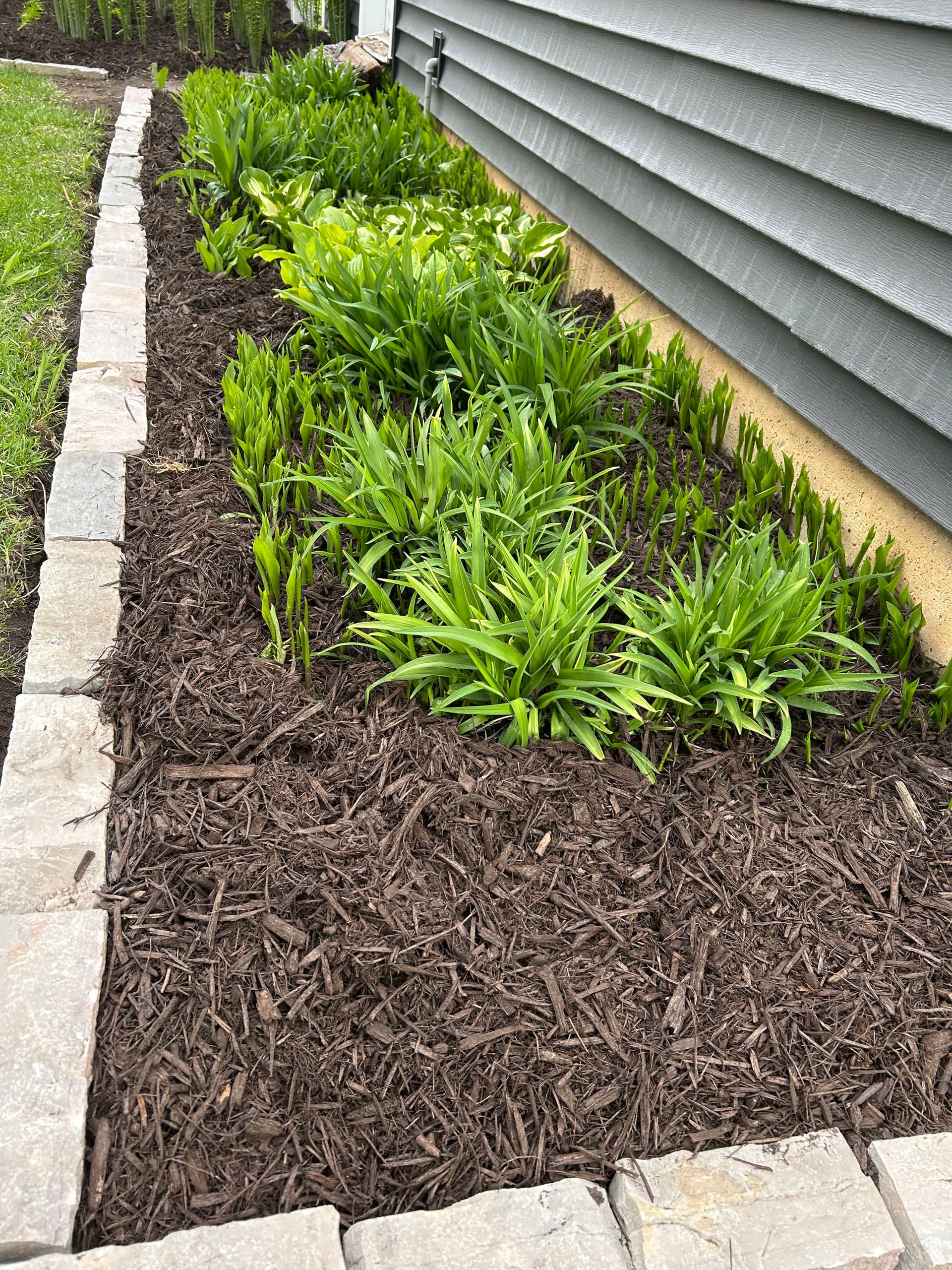 Gallery photos for Fresh Mulch, Clean Stone Edging, and Zero Weeds in Sight: Image #6