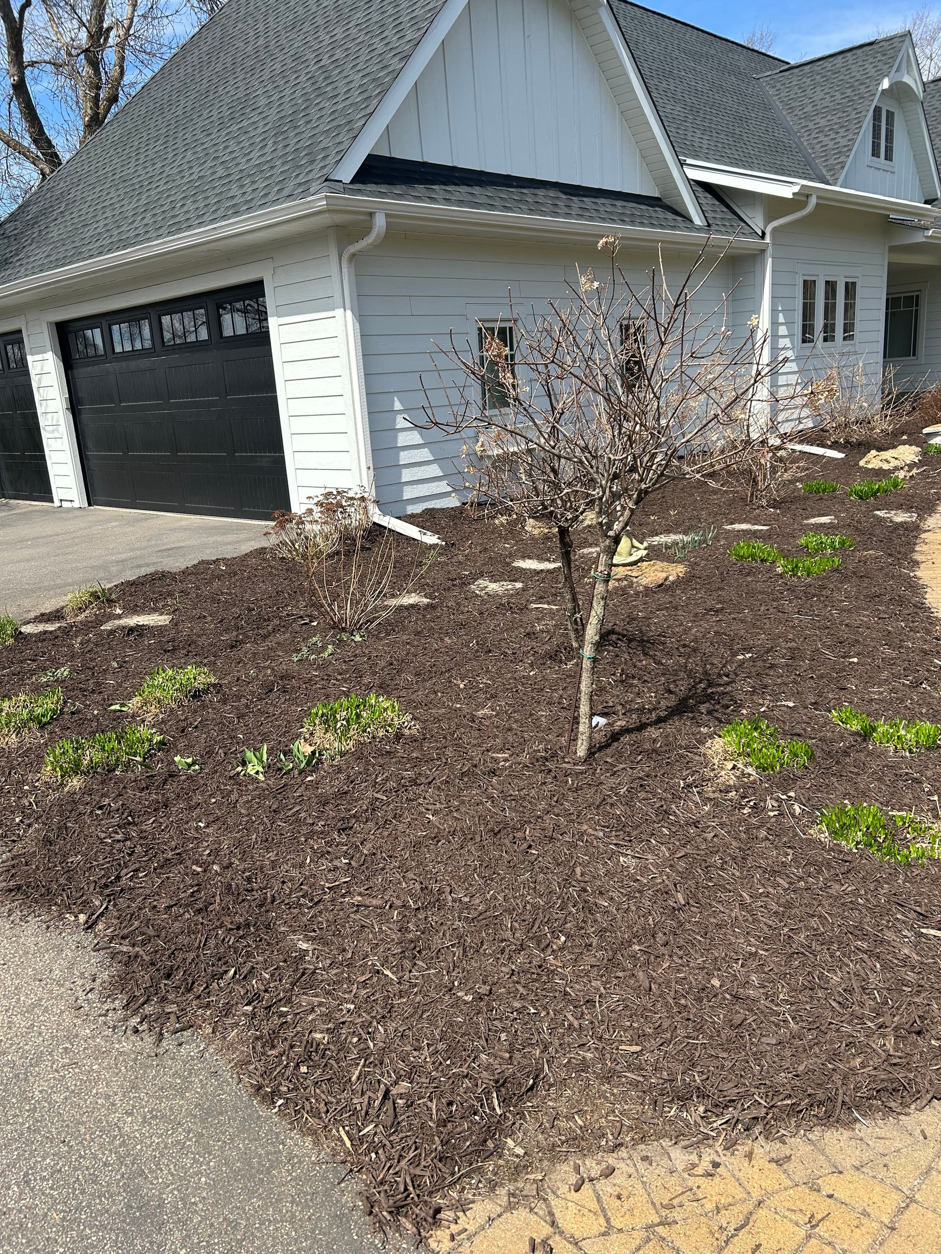 Gallery photos for Spring Garden Cleanup and Fresh Mulch Installation: Image #3