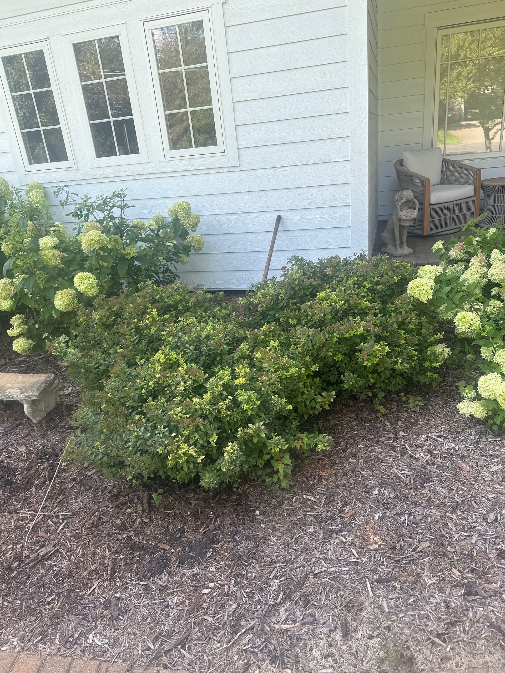 Gallery photos for Front and Back Garden Beds Cleaned Up and Mulched: Image #4
