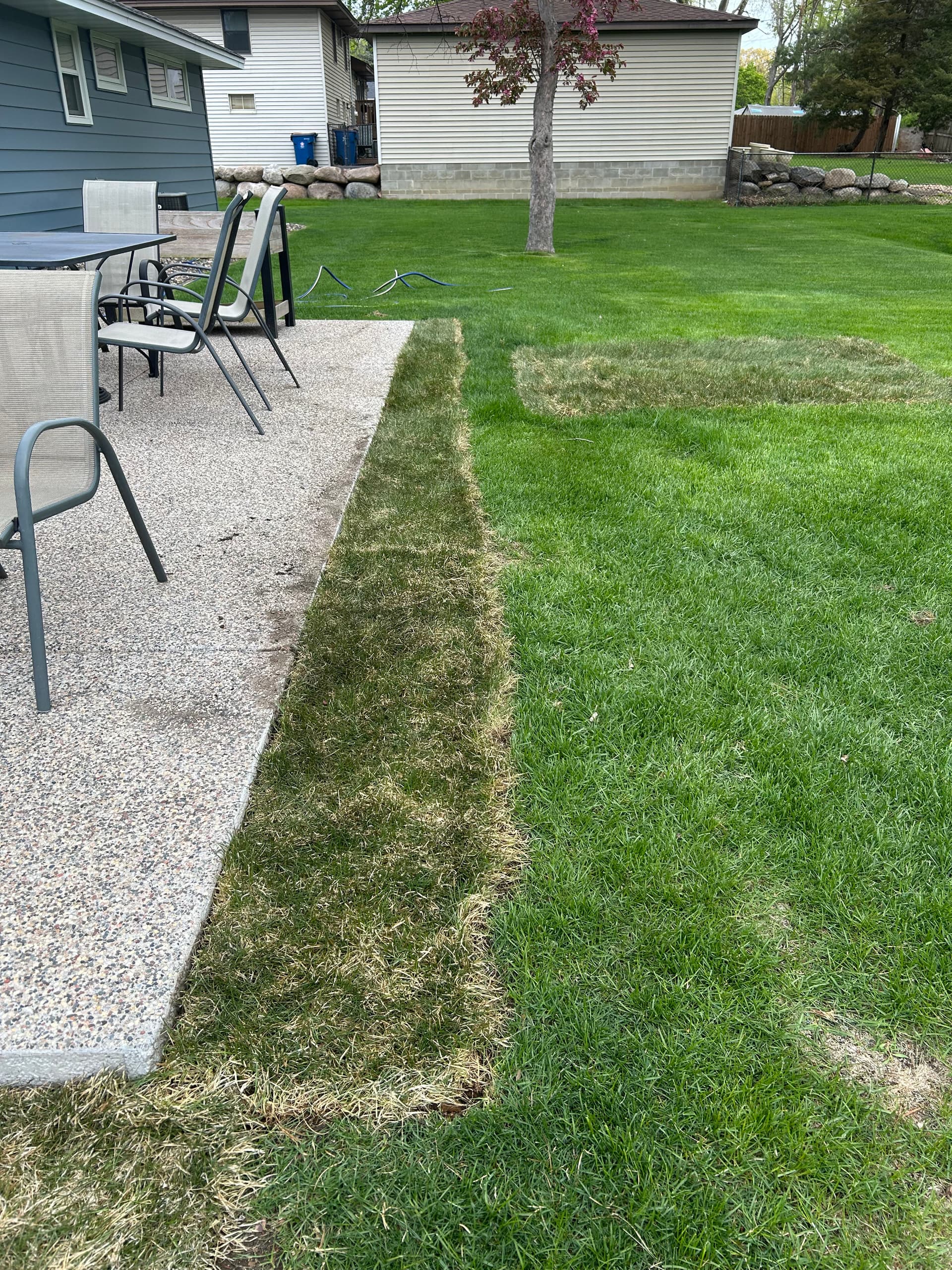 Gallery photos for Dead Patches Are Gone - Fresh Sod Takes Over: Image #3