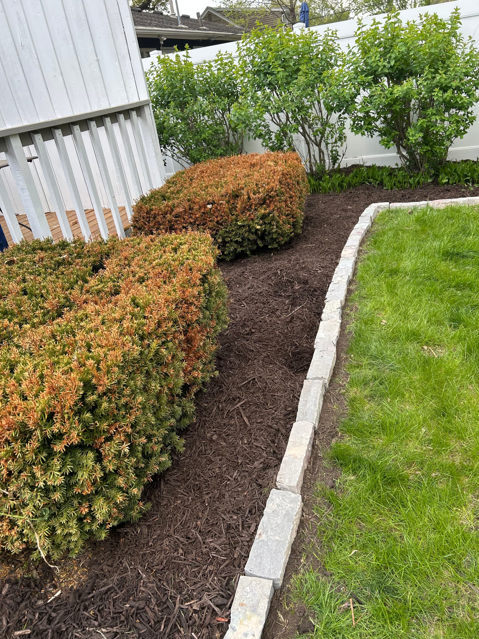Gallery photos for Fresh Mulch, Clean Stone Edging, and Zero Weeds in Sight: Image #1