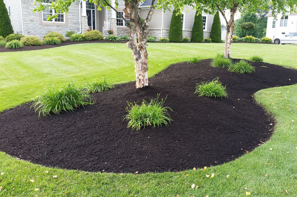 Multch Installation image