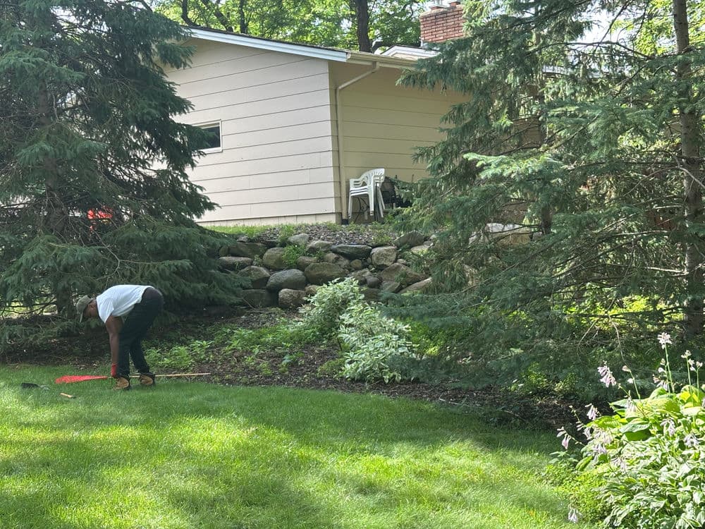 General Yard Cleanups image