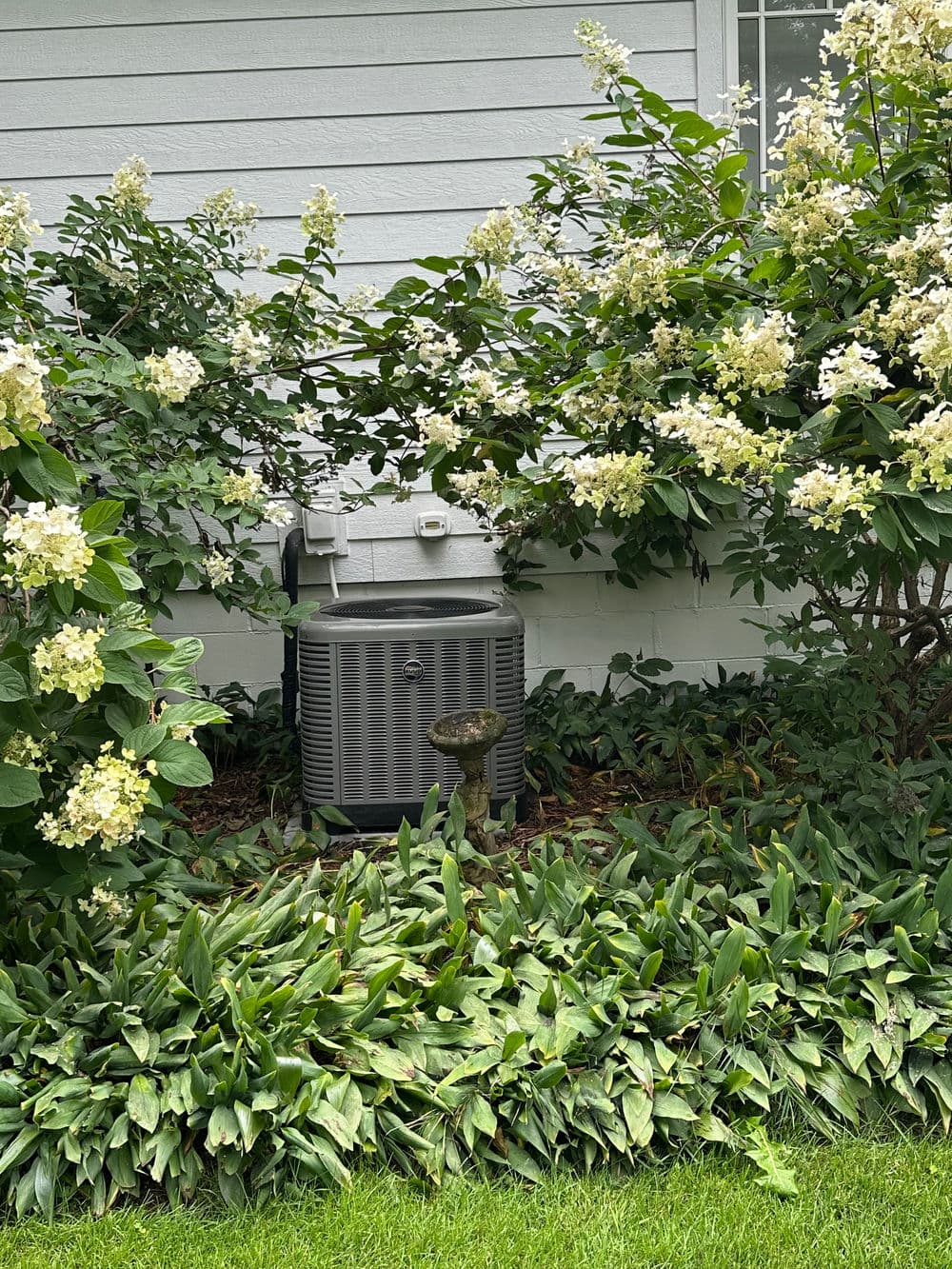 Air conditioning unit surrounded by lush greenery and blooming white flowers.