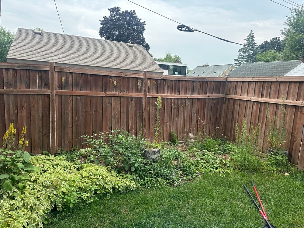Lush backyard garden with wooden fence, green plants, and gardening tools on the grass.