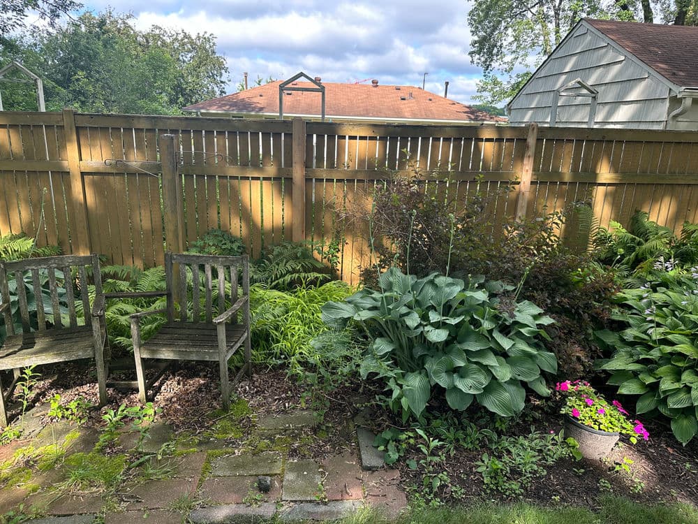 Serene garden scene with wooden chairs, lush greenery, and colorful flowers beside a wooden fence.