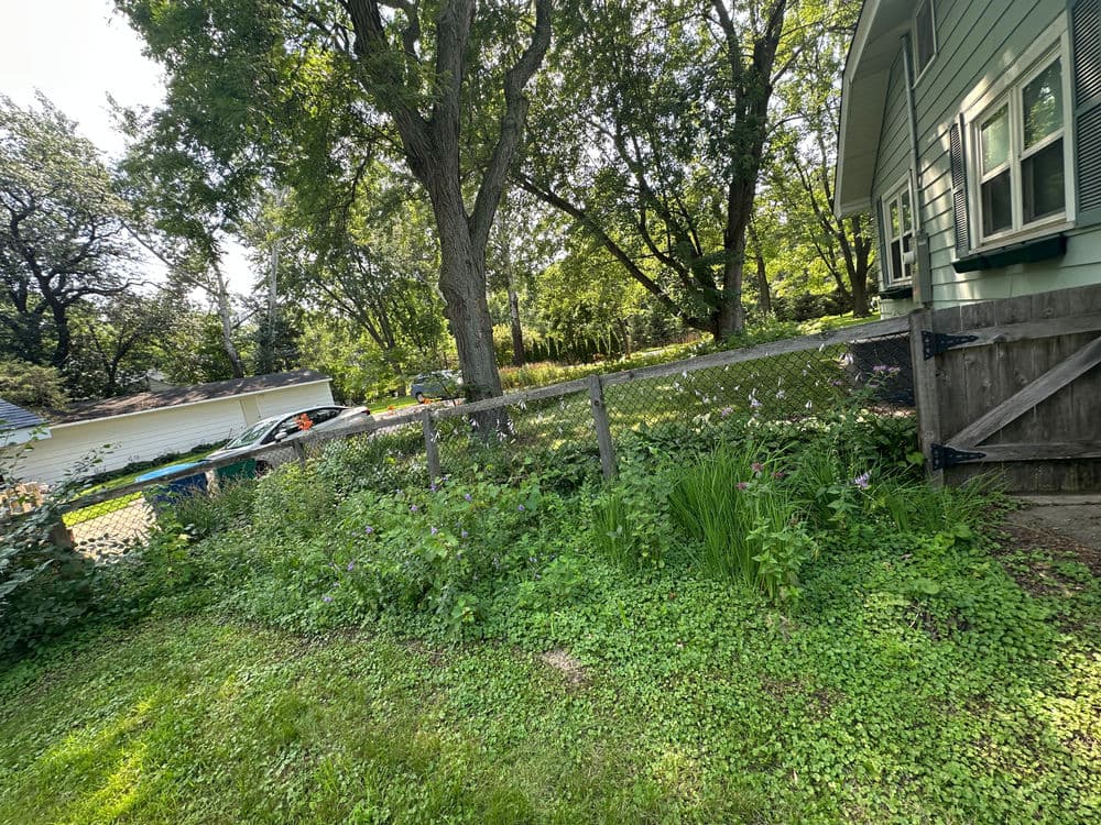 Lush greenery and flowers along a wooden fence beside a house in a residential area.