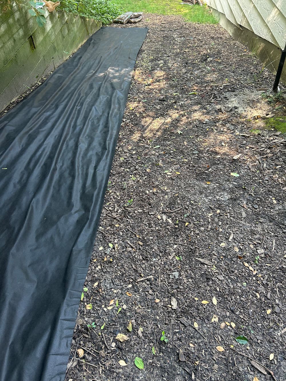 Garden pathway lined with black landscaping fabric and bare soil with small stones and leaves.