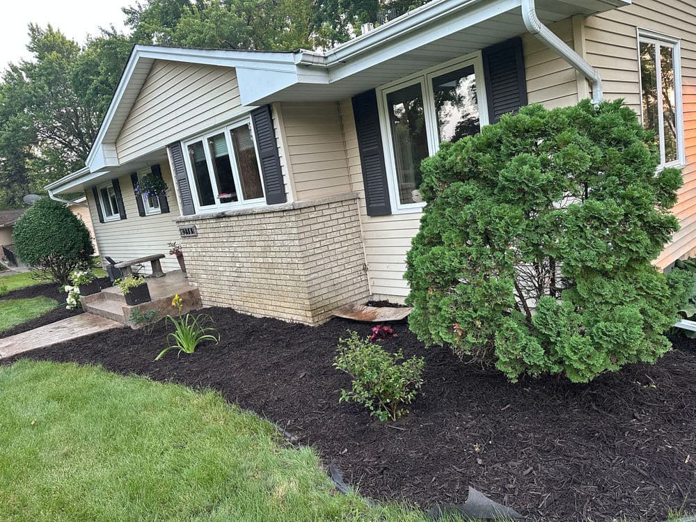 Front yard of a beige house with new landscaping, including shrubs, mulch, and flower beds.