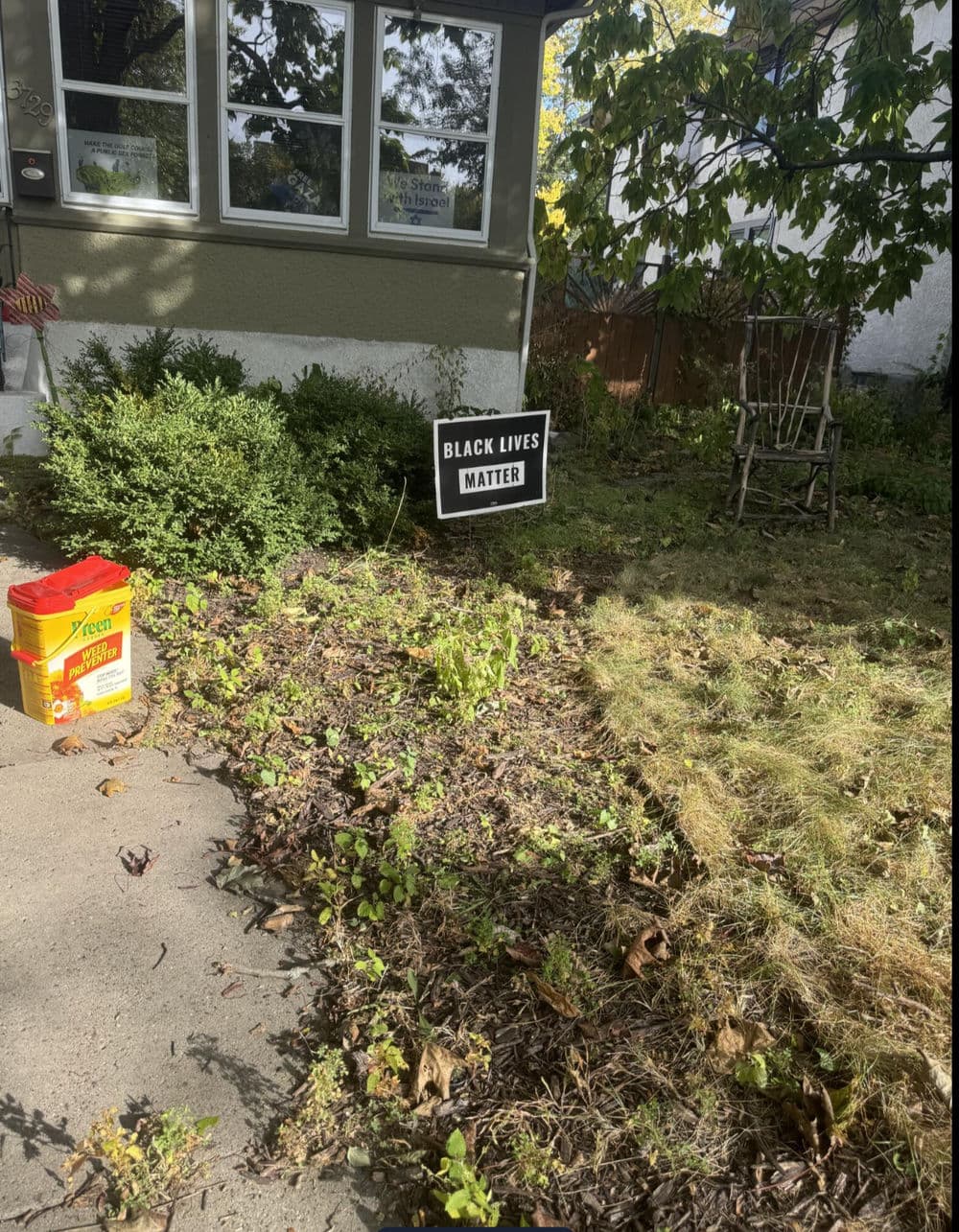 Black Lives Matter sign in a front yard with overgrown grass and plants.