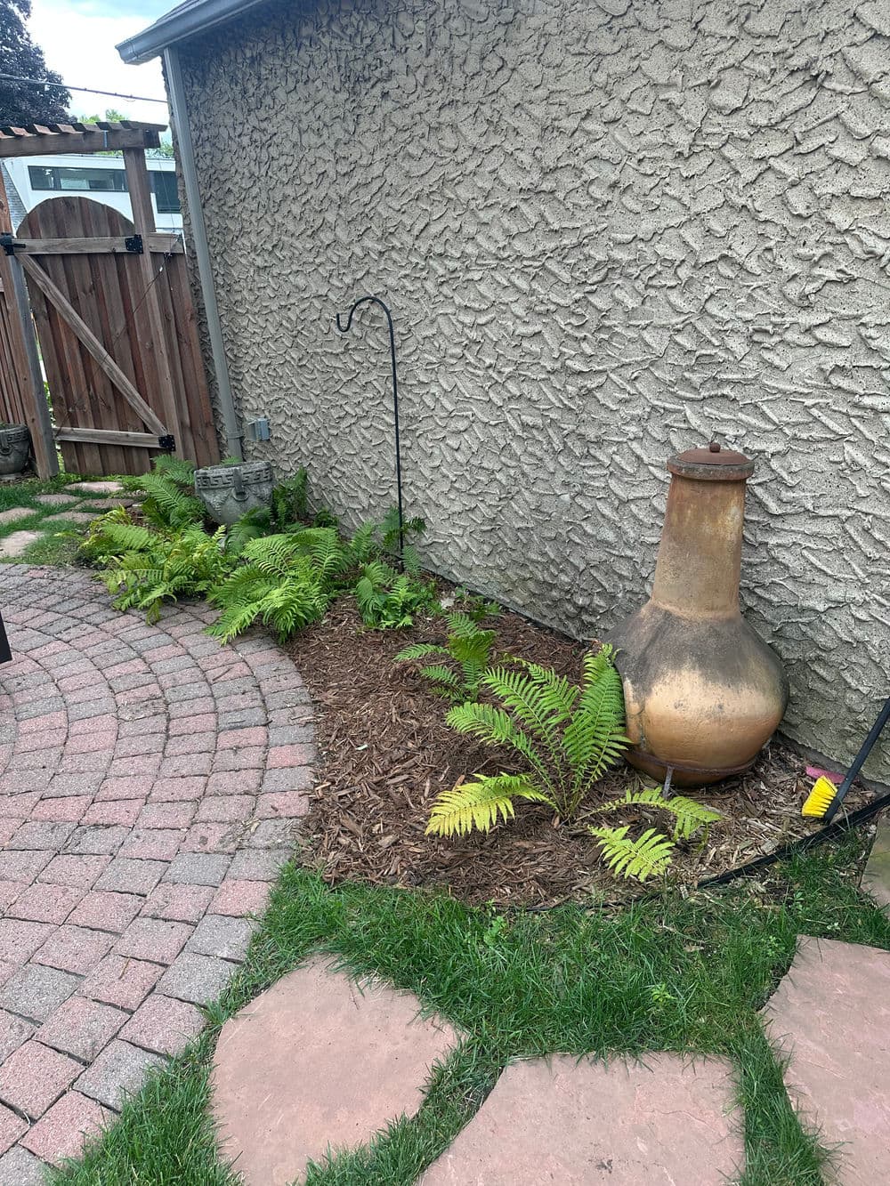 Garden corner with fern plants, clay chiminea, and stone pathway by textured wall.