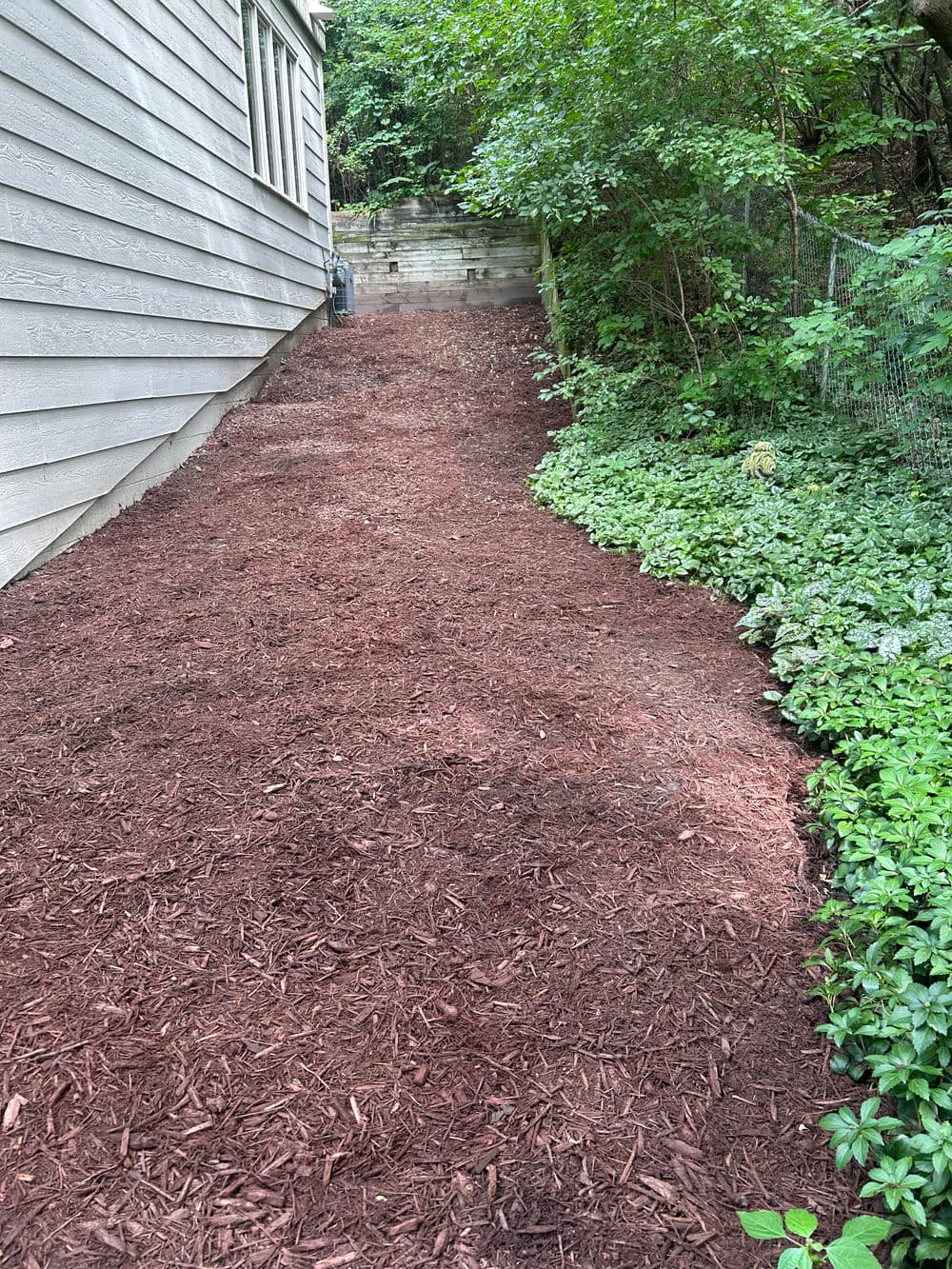Mulched garden area with greenery alongside a house, featuring a sloped pathway.
