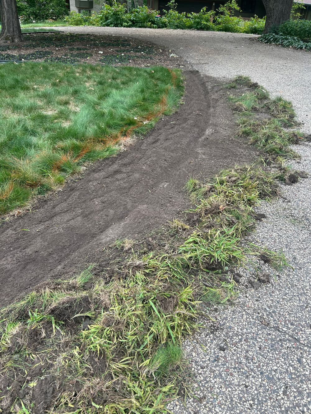 Dirt path in lawn with disturbed grass along a gravel walkway, showing landscape maintenance work.