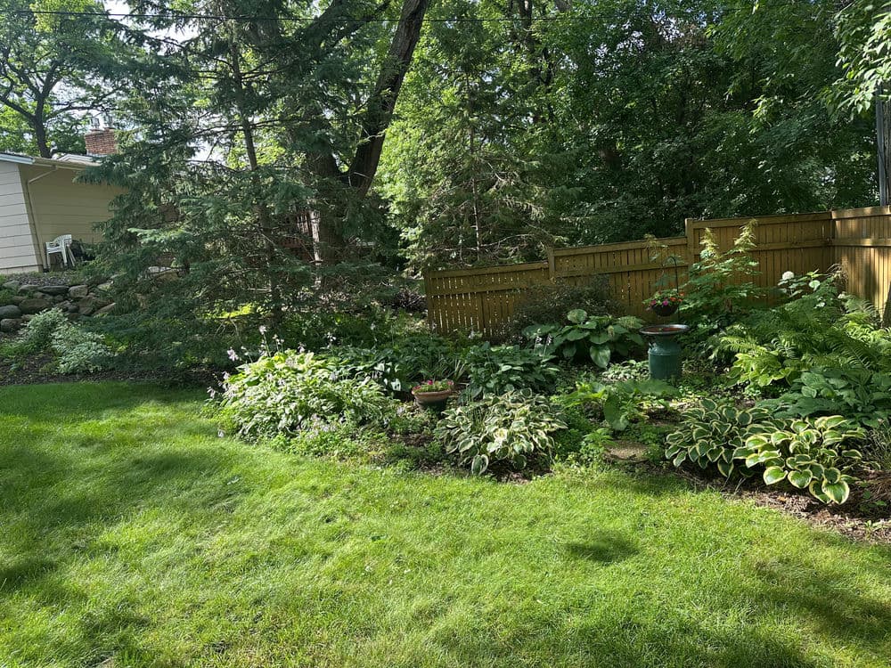 Lush garden with green plants and flowers, surrounded by a wooden fence and trees.