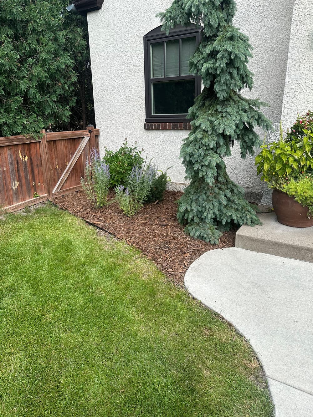 Lush green lawn, flowering plants, and mulched garden bed by a house corner.