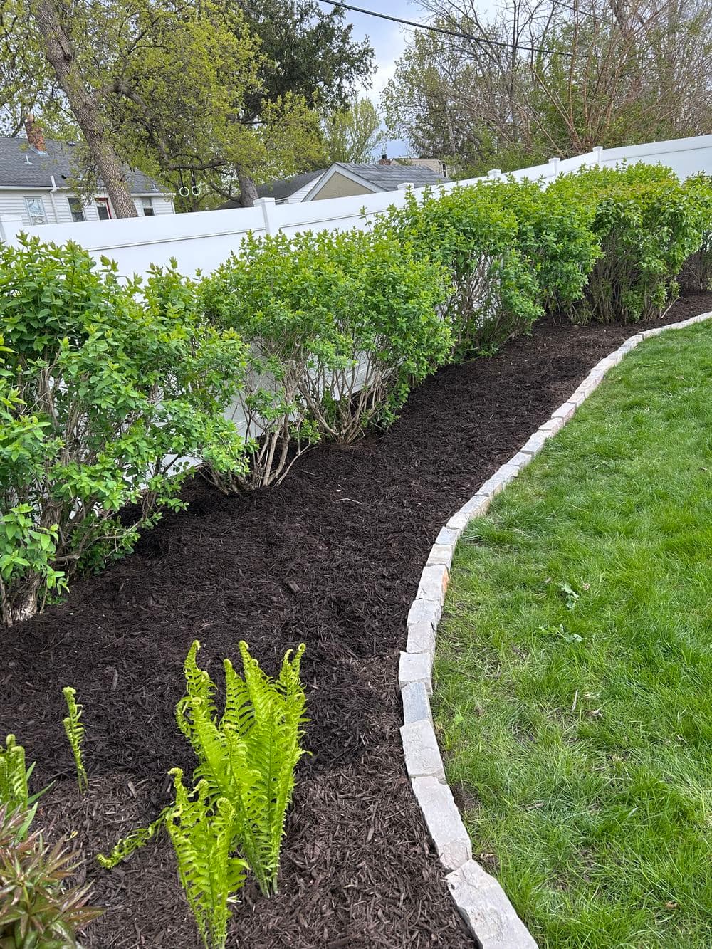 Freshly mulched garden bed with lush greenery and ferns along a stone border.