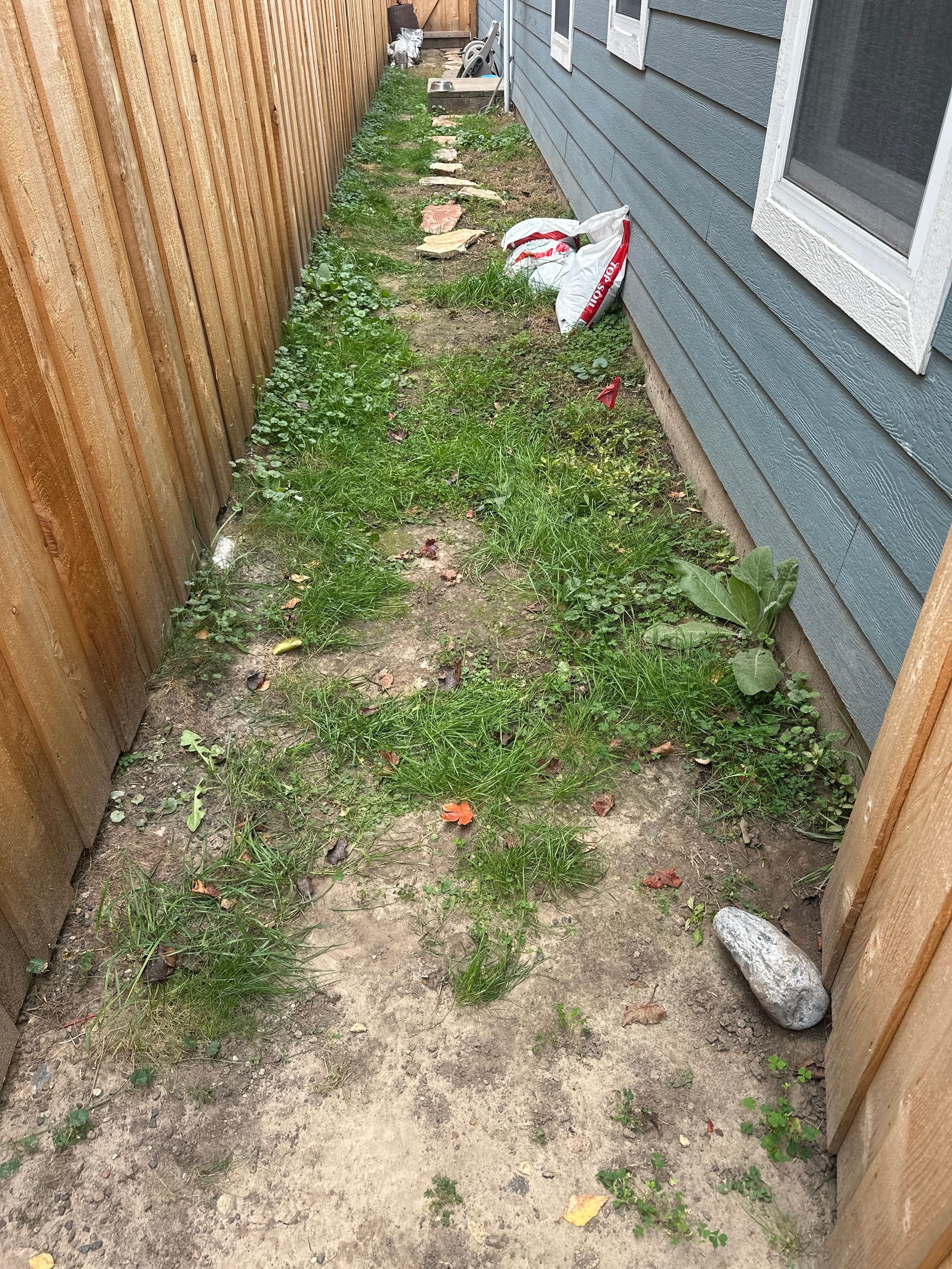 Transforming a Weedy Side Yard into a Beautiful Stone Pathway image
