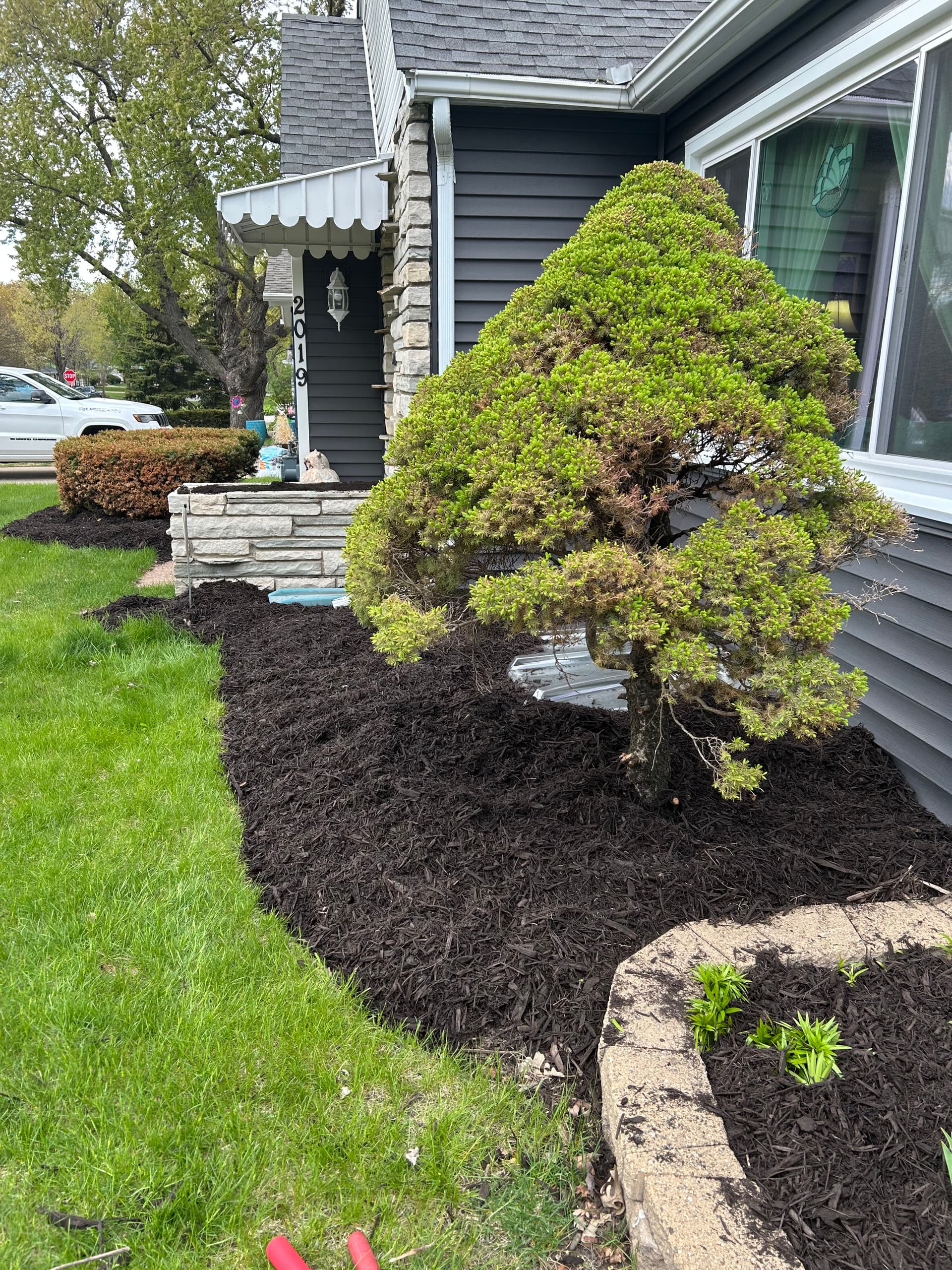 Fresh Mulch and Clean Beds Make a Real Difference image