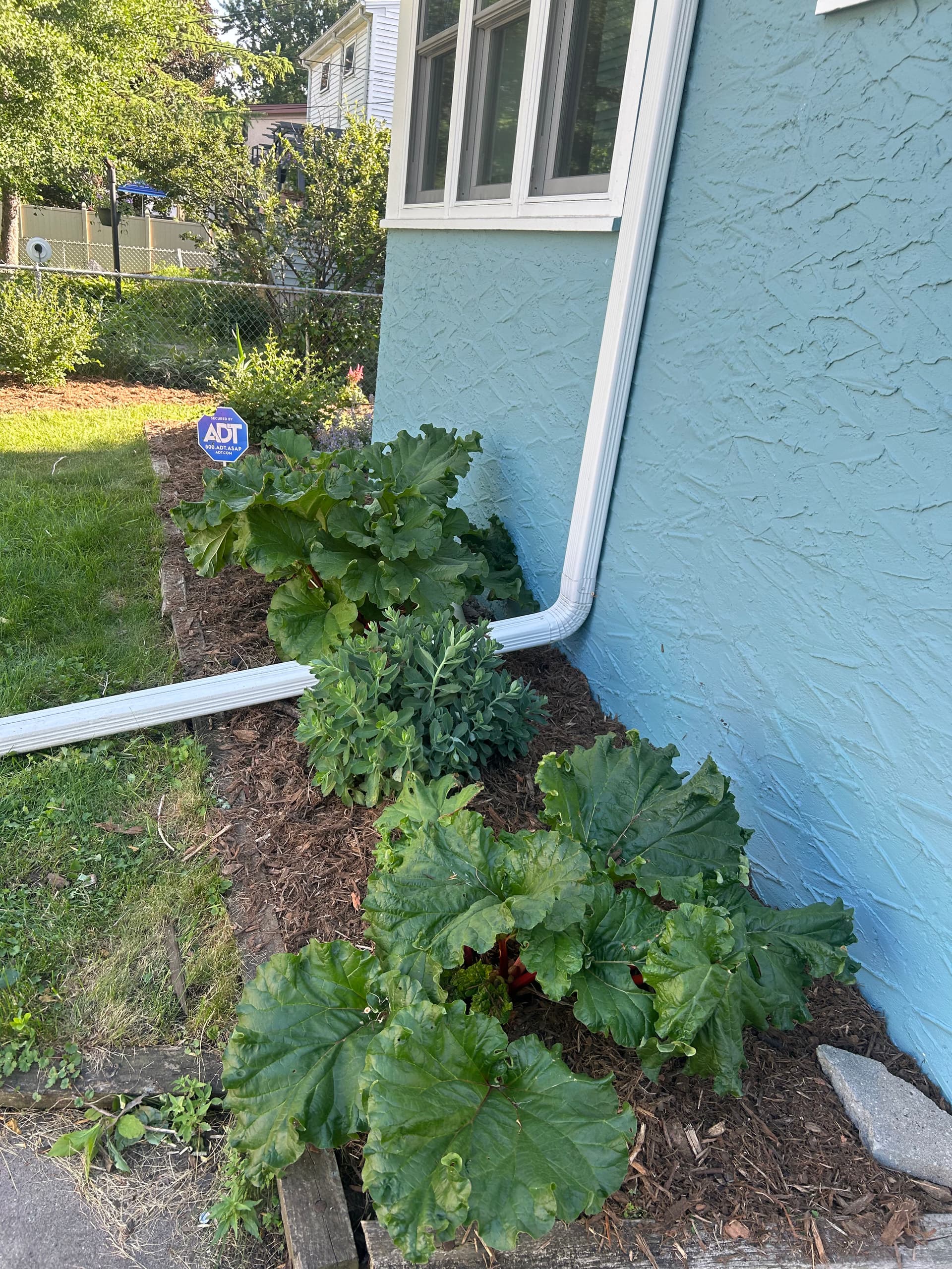 Gallery photos for Fresh Mulch and Clean Beds Around the Whole House: Image #6