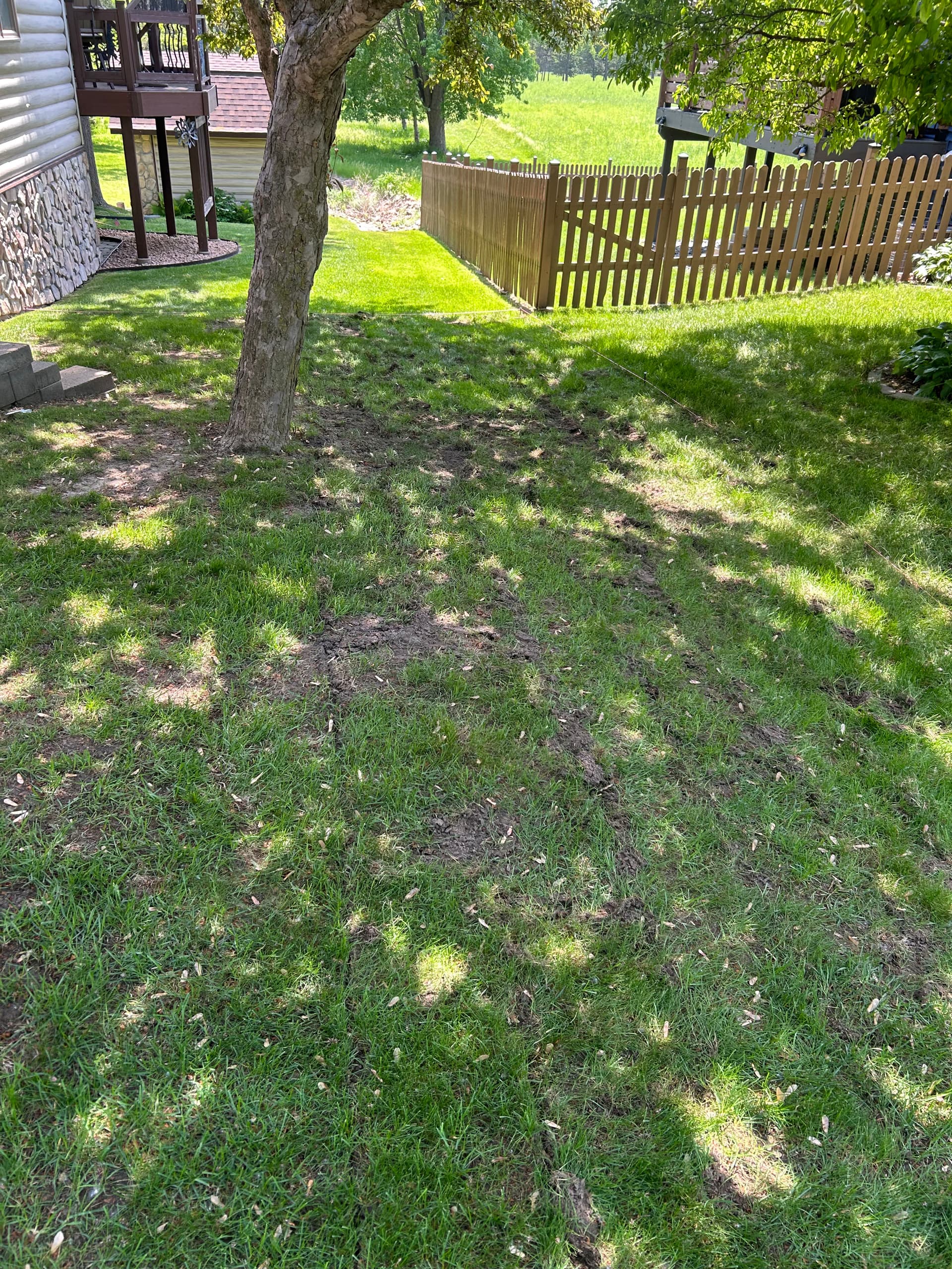 Gallery photos for Dead Grass Got a Full Reset with Kentucky Bluegrass Sod: Image #3