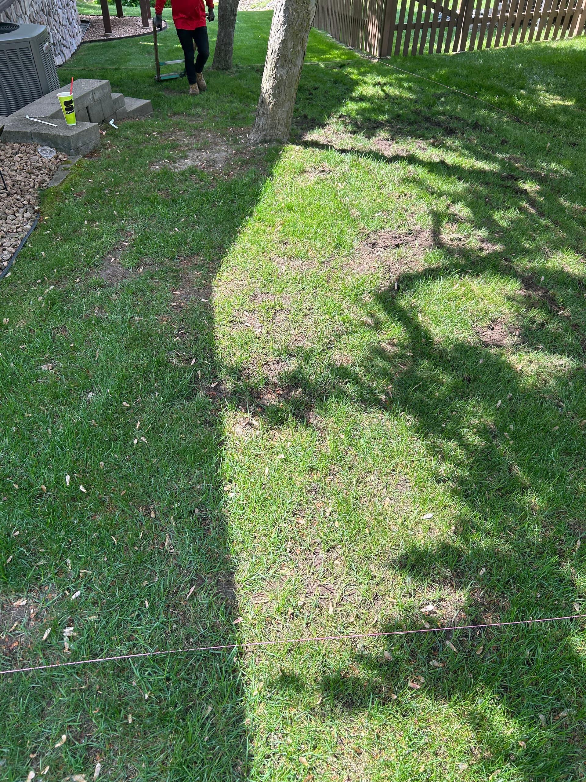 Gallery photos for Dead Grass Got a Full Reset with Kentucky Bluegrass Sod: Image #5
