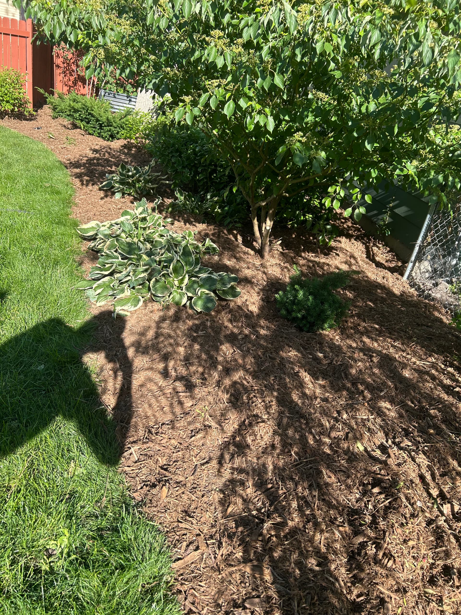 Gallery photos for Fresh Mulch and Clean Beds Around the Whole House: Image #4
