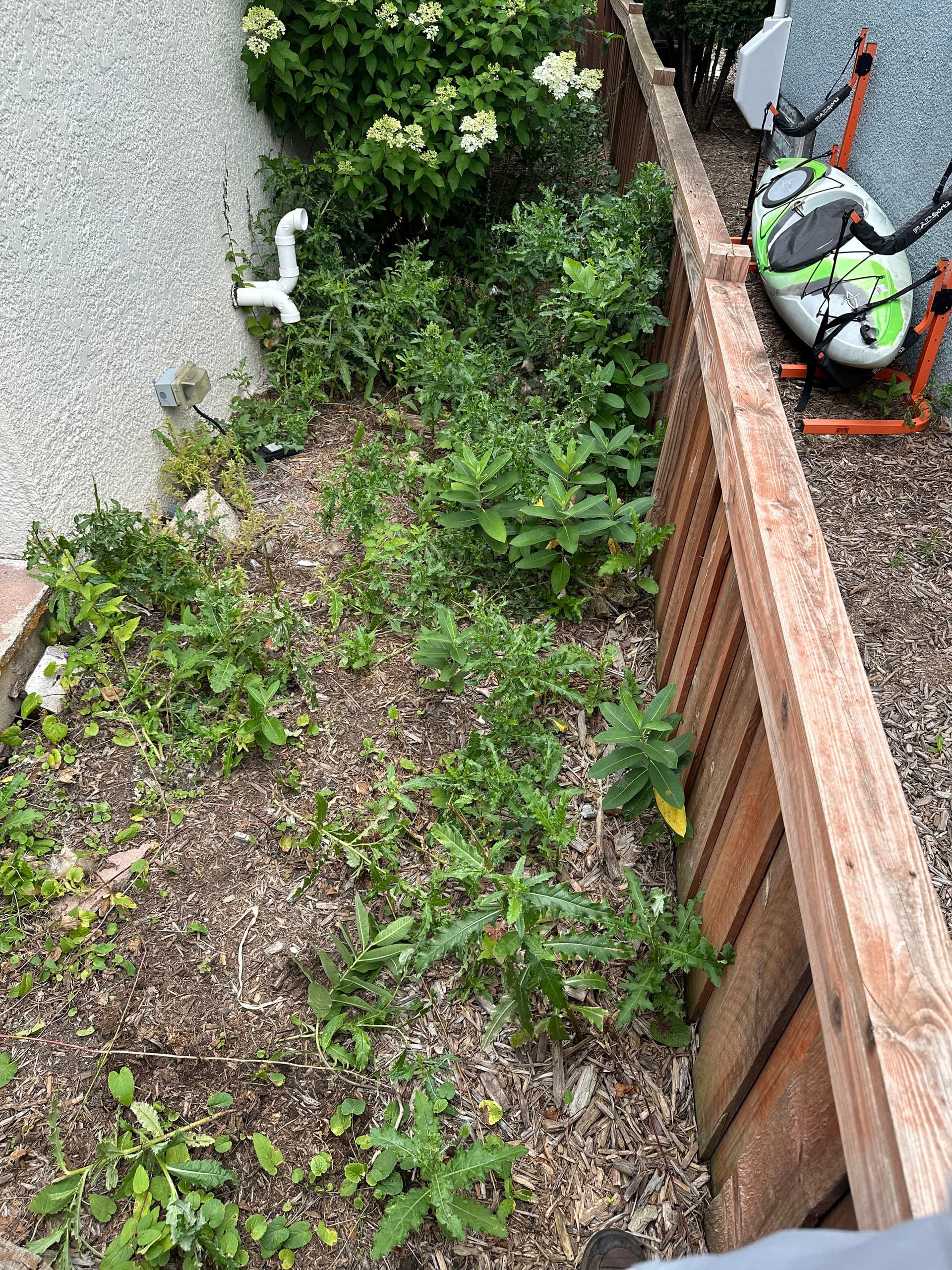 Gallery photos for Full Yard Weed Removal and Shredded Cypress Mulch Installation: Image #1