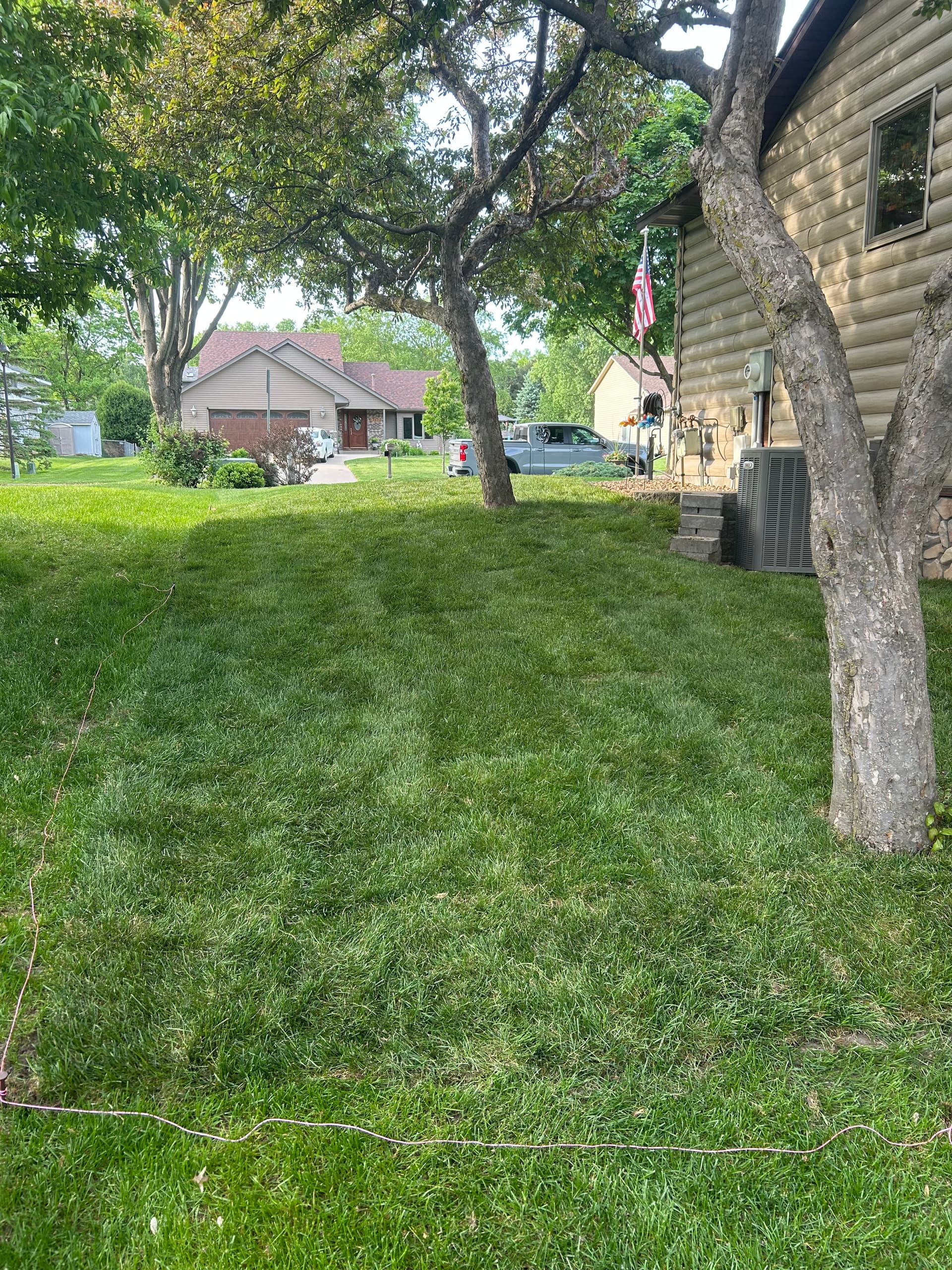 Dead Grass Got a Full Reset with Kentucky Bluegrass Sod image