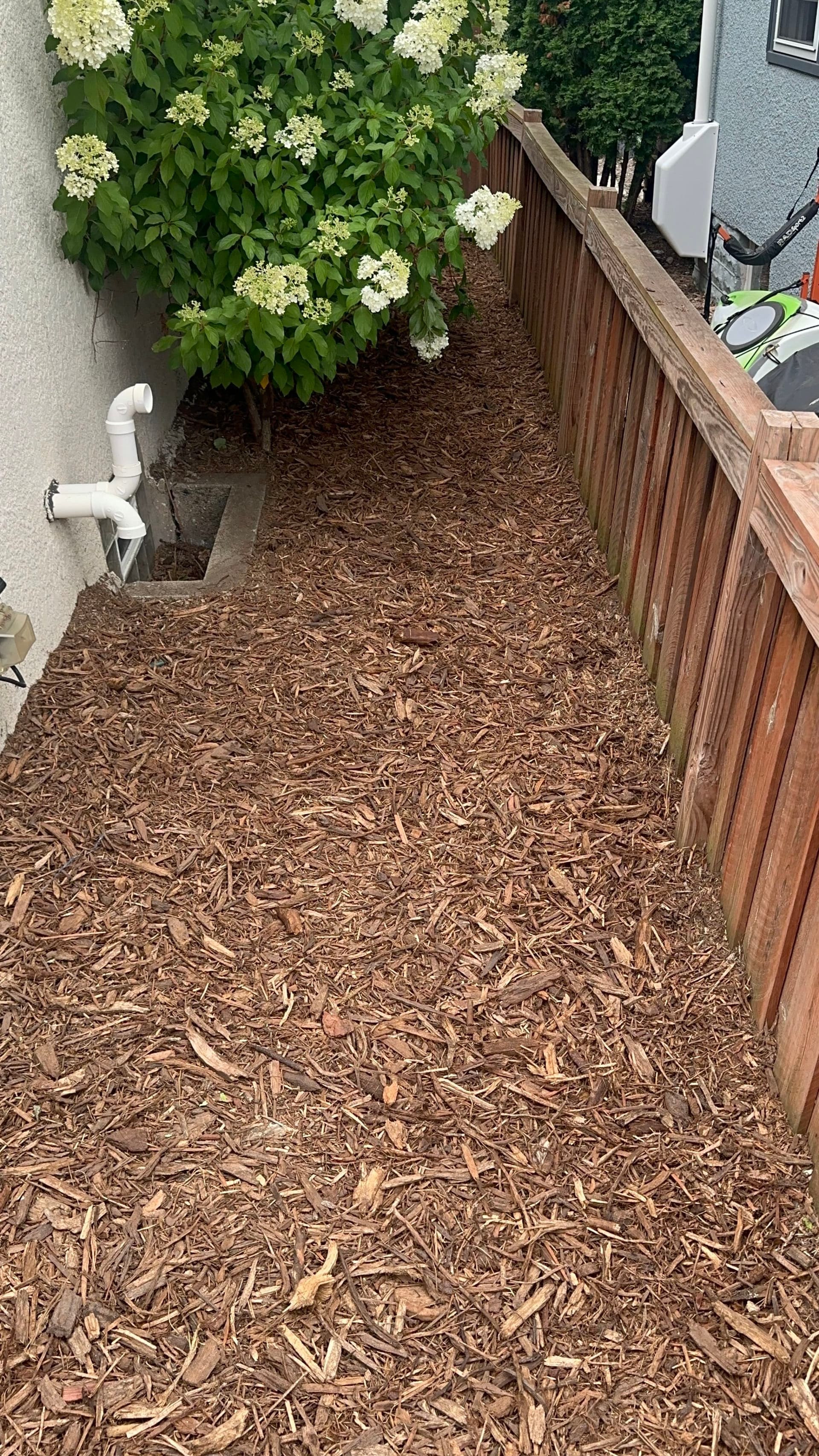 Gallery photos for Full Yard Weed Removal and Shredded Cypress Mulch Installation: Image #3