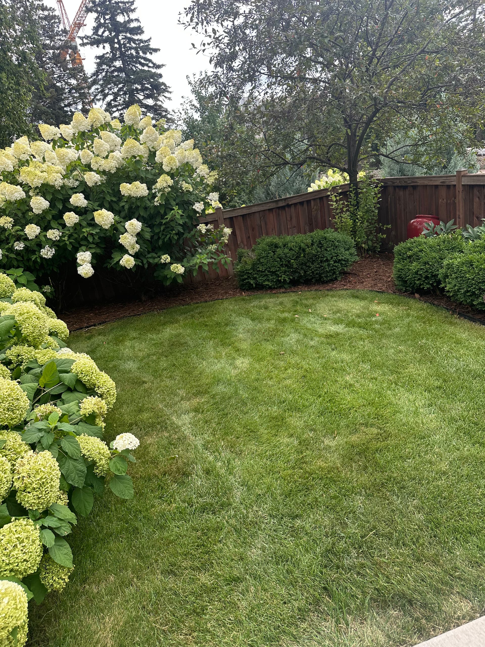 Gallery photos for Full Yard Weed Removal and Shredded Cypress Mulch Installation: Image #8