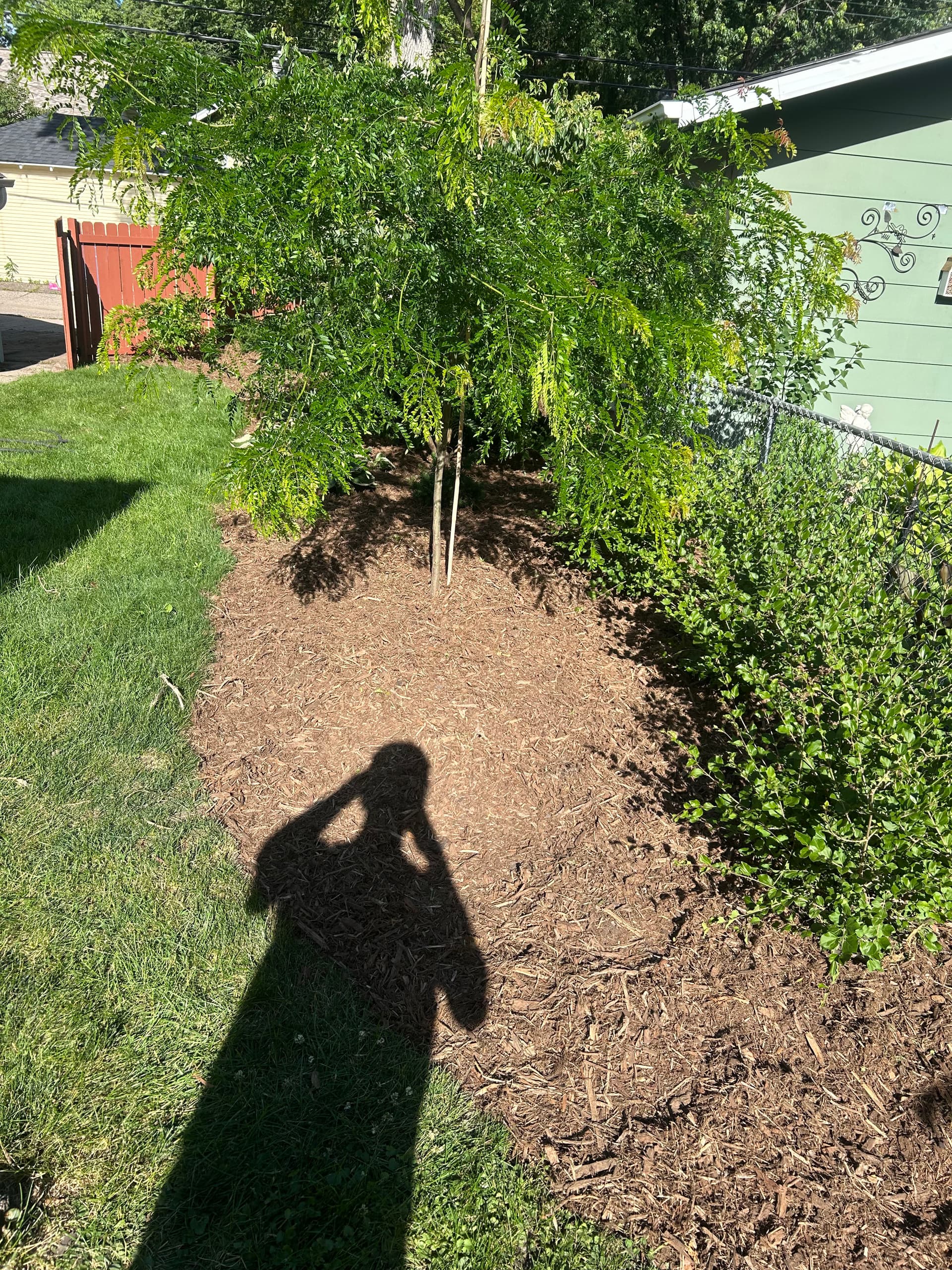 Gallery photos for Fresh Mulch and Clean Beds Around the Whole House: Image #2