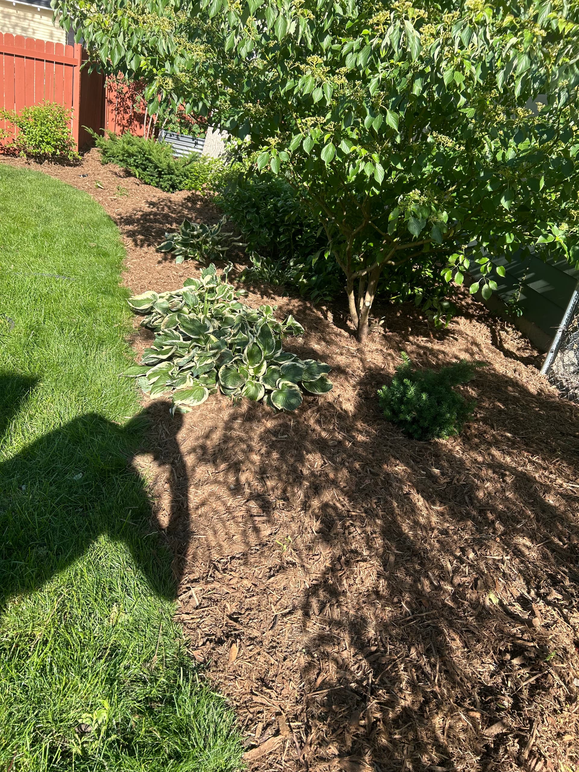 Gallery photos for Fresh Mulch and Clean Beds Around the Whole House: Image #3
