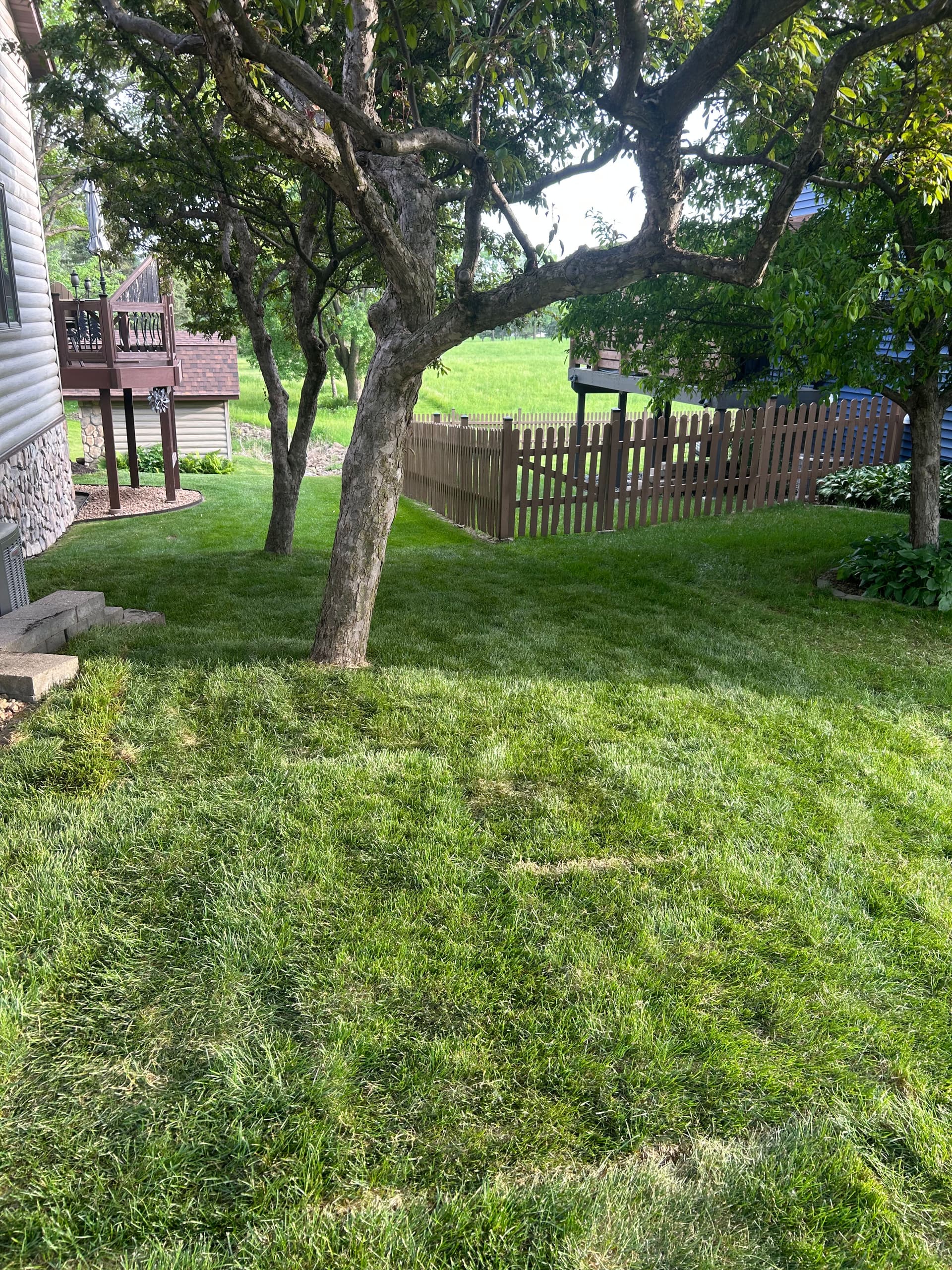Gallery photos for Dead Grass Got a Full Reset with Kentucky Bluegrass Sod: Image #2
