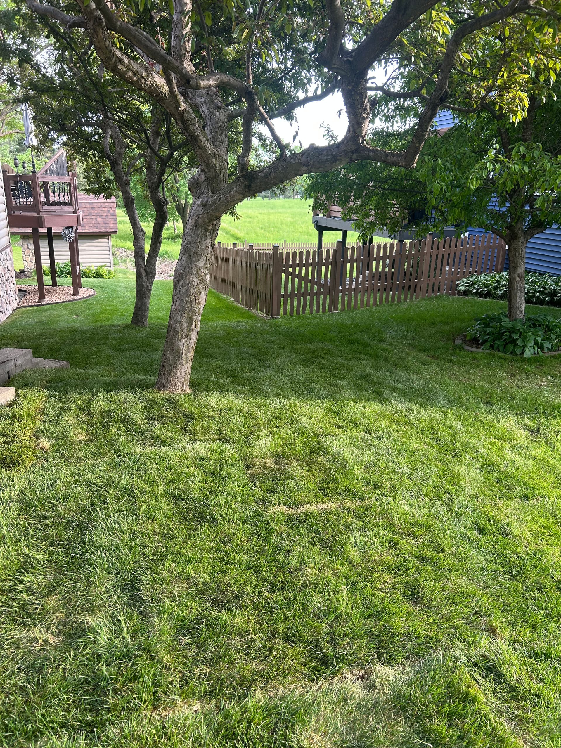 Gallery photos for Dead Grass Got a Full Reset with Kentucky Bluegrass Sod: Image #1