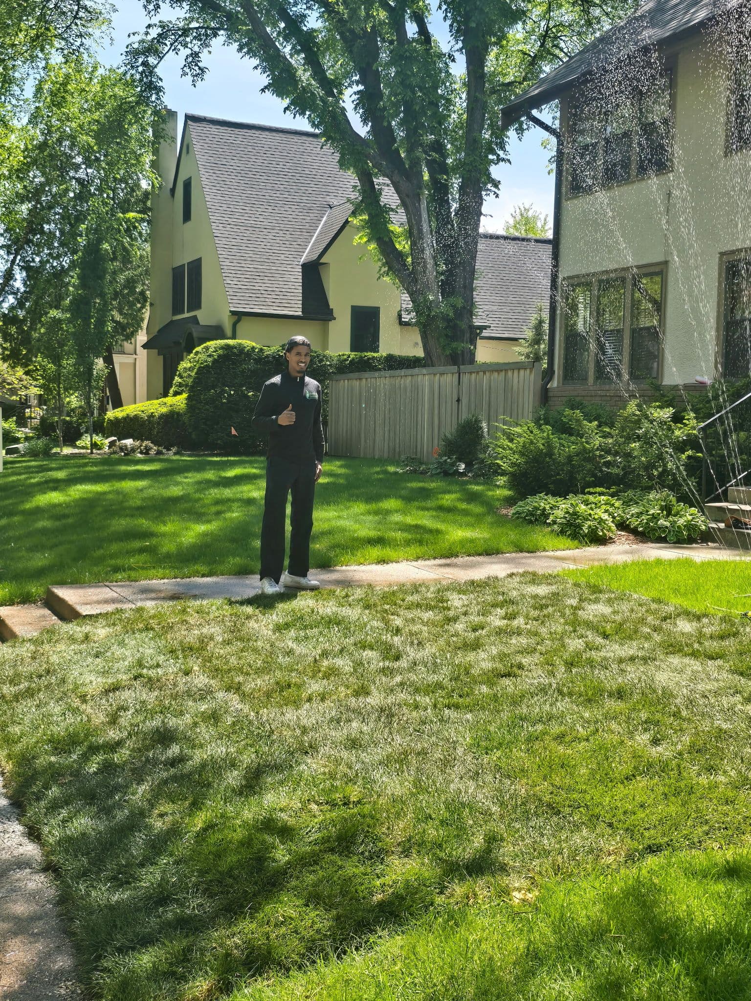 From Patchy and Dead to a Full Green Lawn image