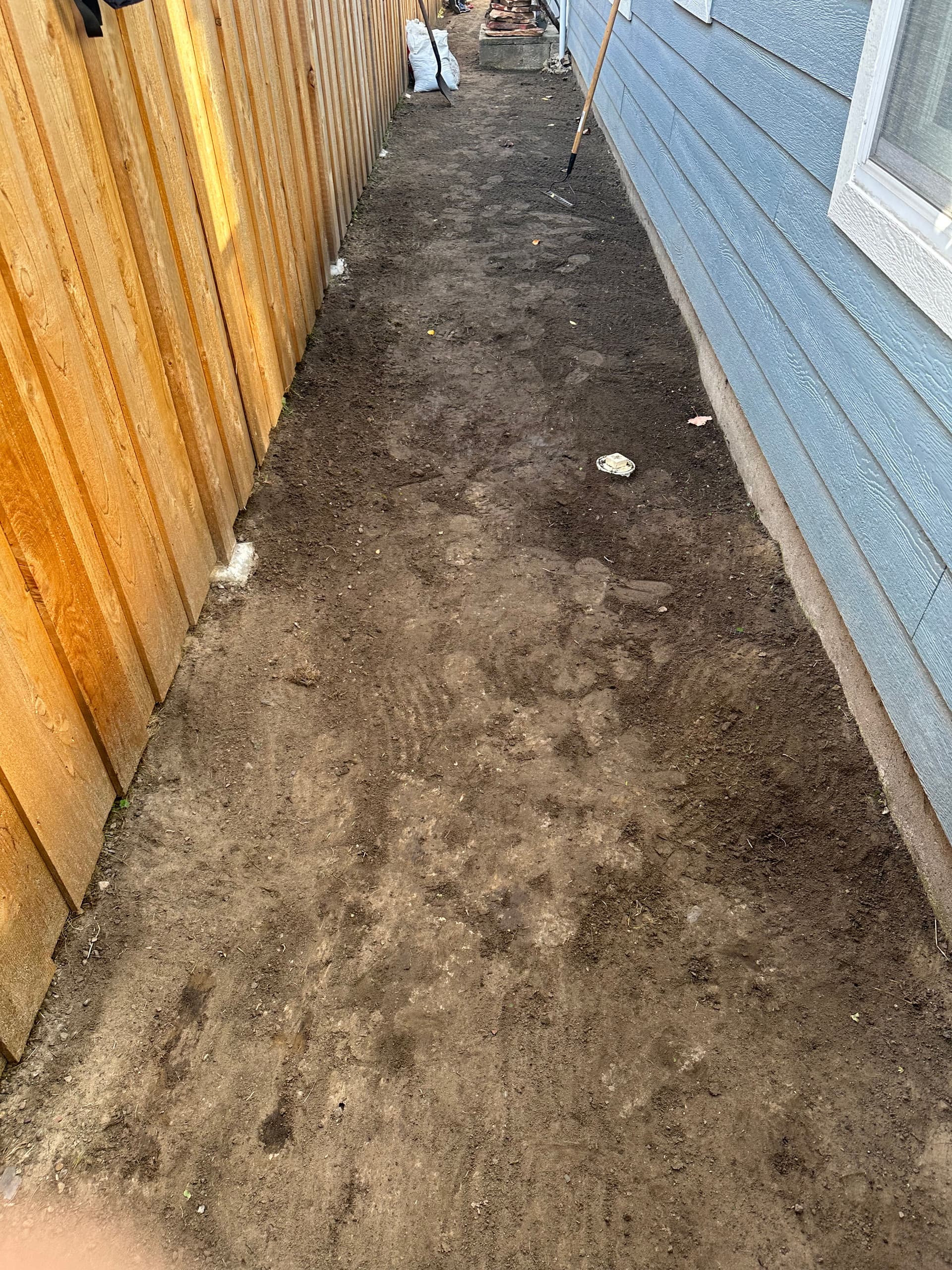 Gallery photos for Transforming a Weedy Side Yard into a Beautiful Stone Pathway: Image #3