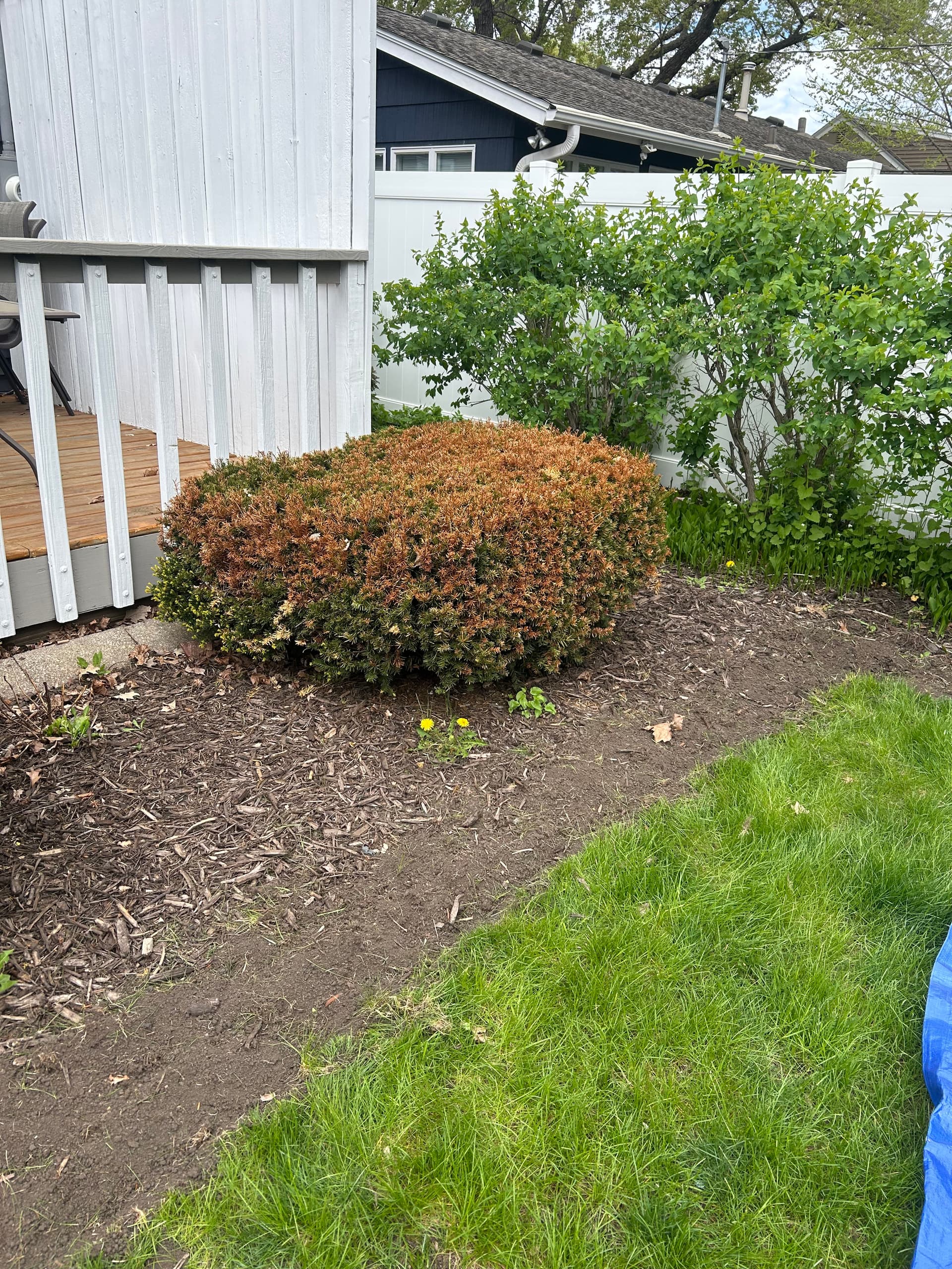 Gallery photos for Fresh Mulch and Clean Beds Make a Real Difference: Image #7