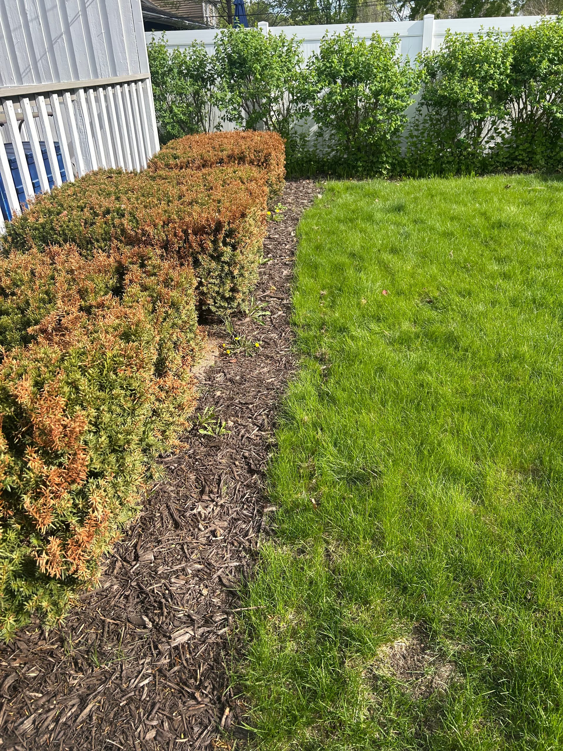 Gallery photos for Fresh Mulch and Clean Beds Make a Real Difference: Image #6